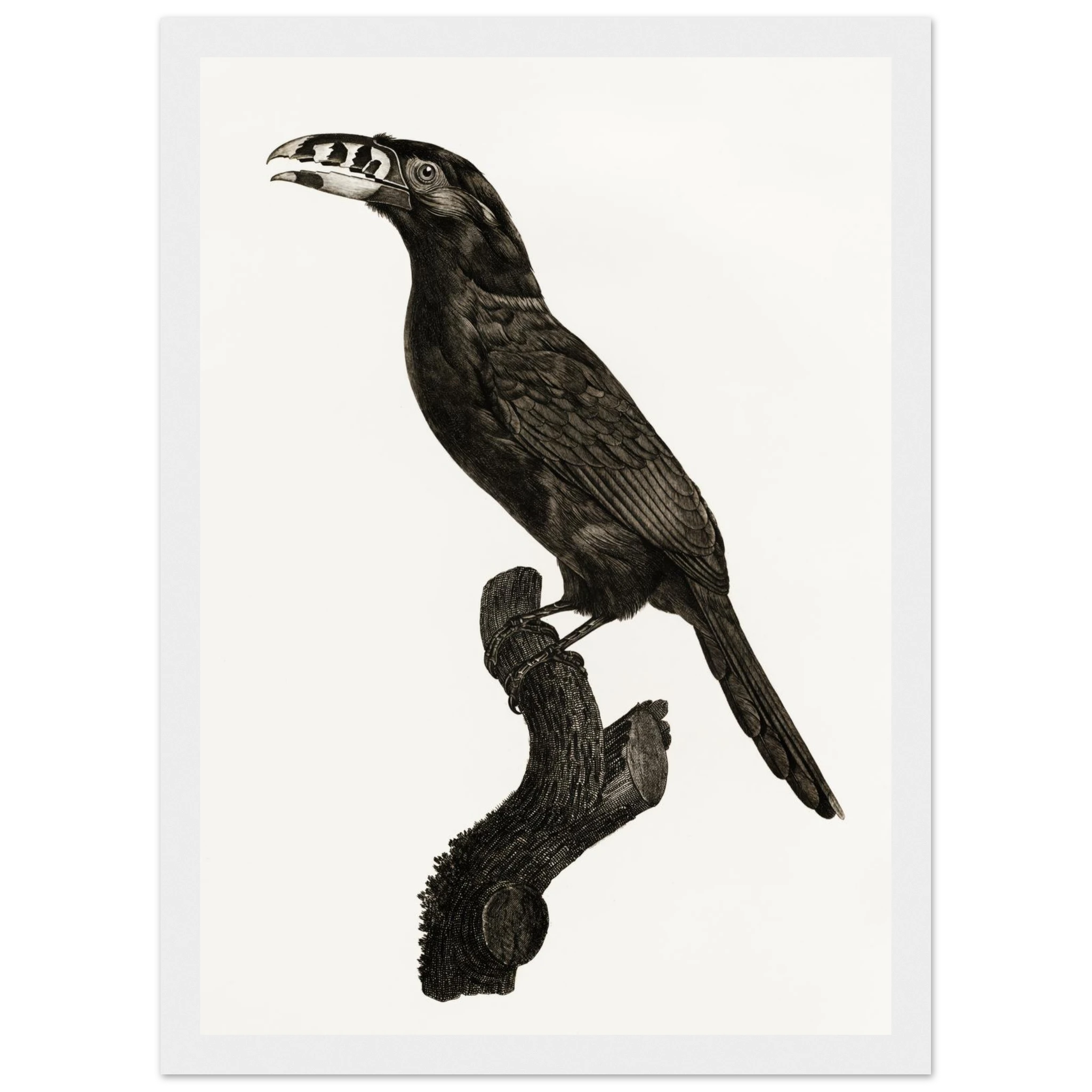 f4651143-934d-4583-afbf-1a9463c2d0e9