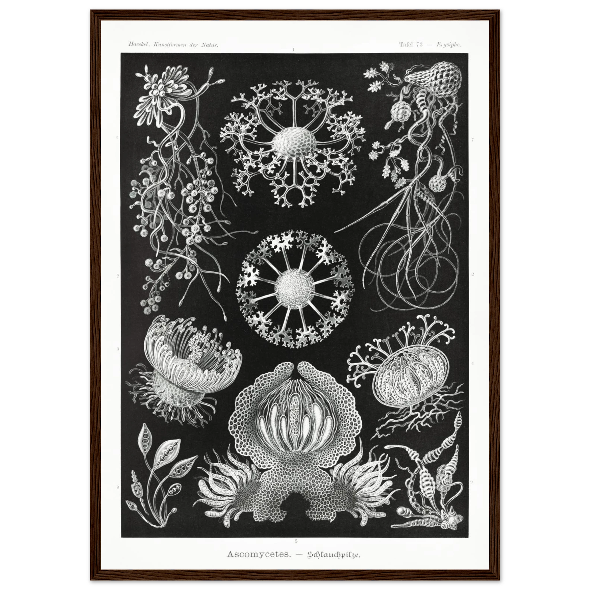 f483f3d7-4660-47f2-becf-304d3df88dd1