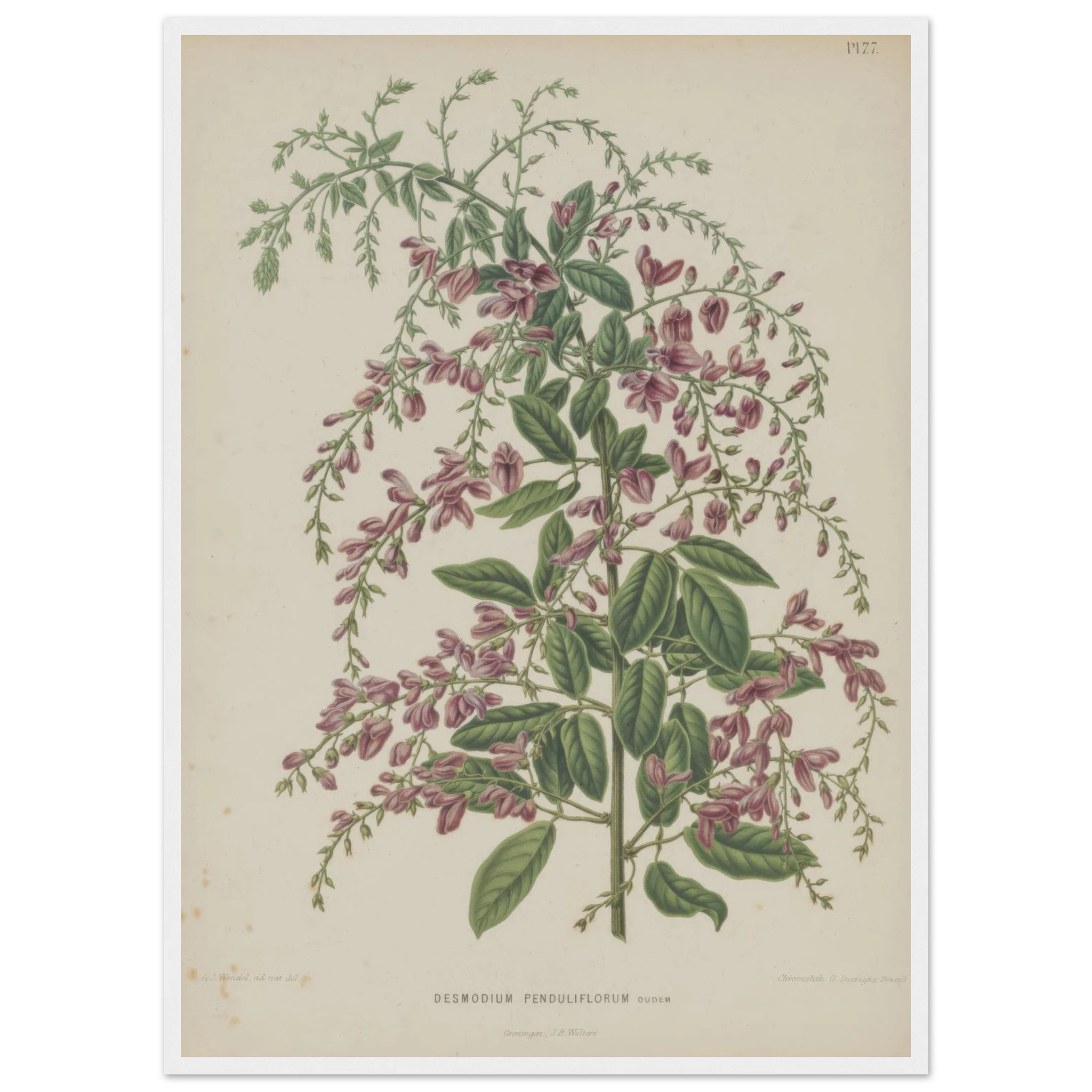 f62a27df-53d6-4dcd-8b6f-7fd9298959d6