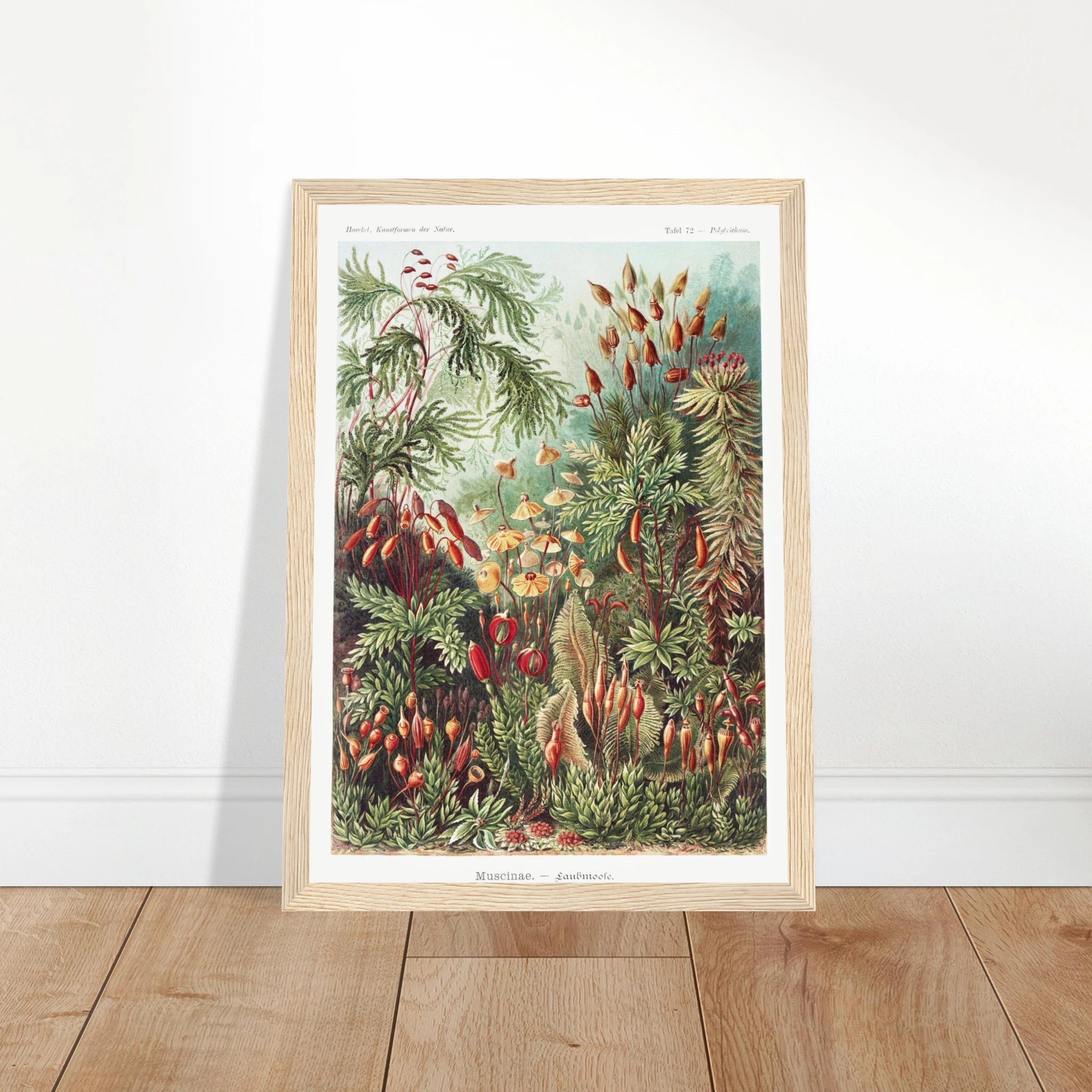 f6440ac8-aaaa-4f1c-abe4-bc7961000f6e