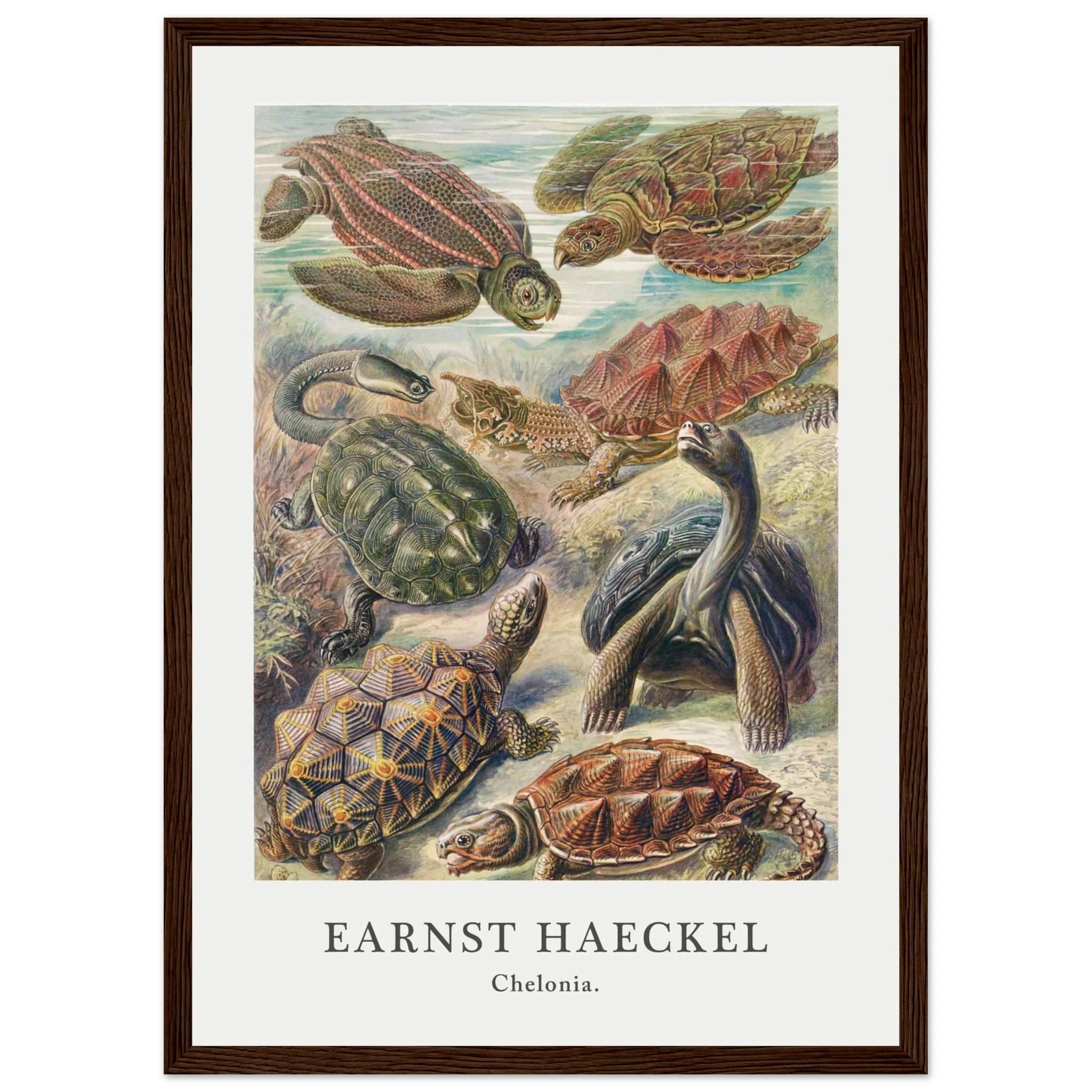 f66e317e-13c3-4d6e-a2db-f43b3410a792