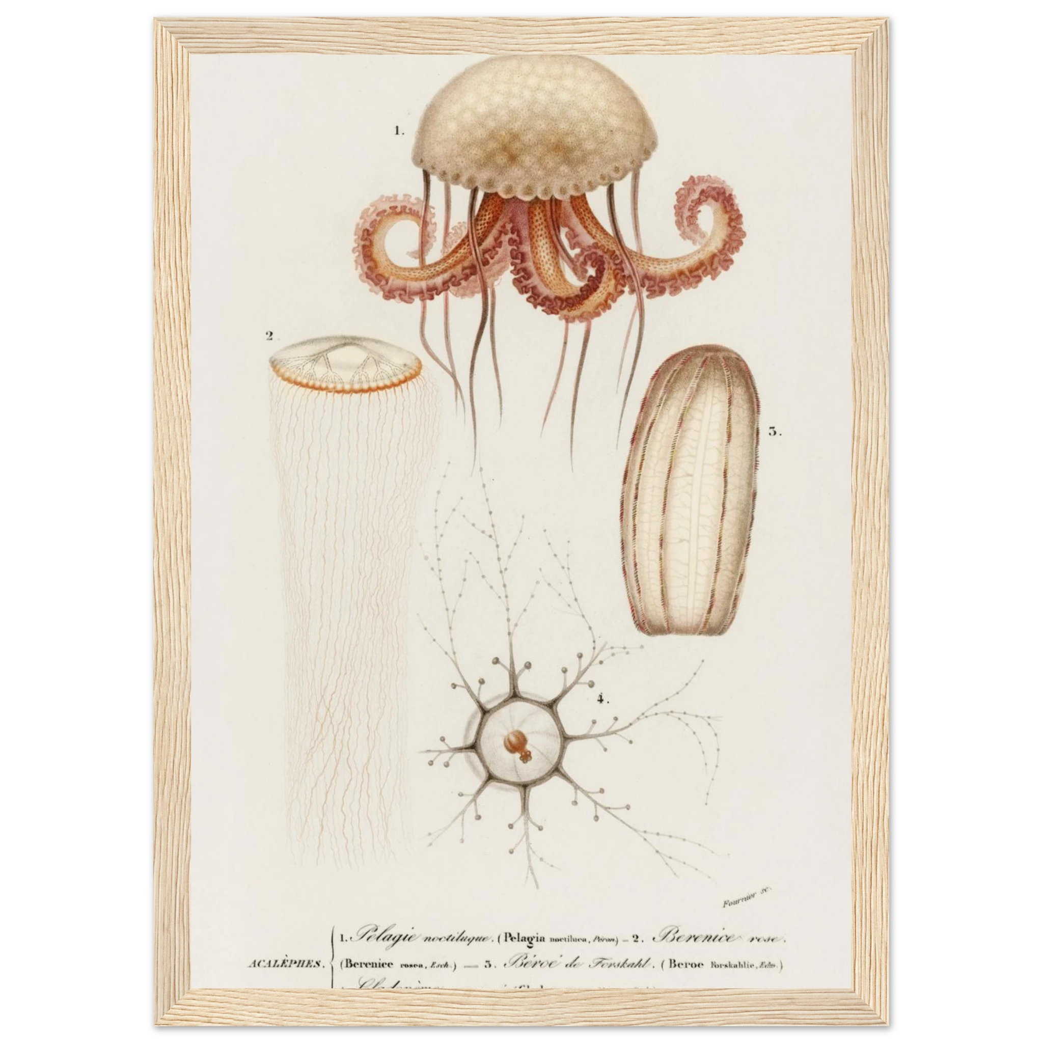 f6967414-9a5f-45f5-8de3-dd14fb2f5ade