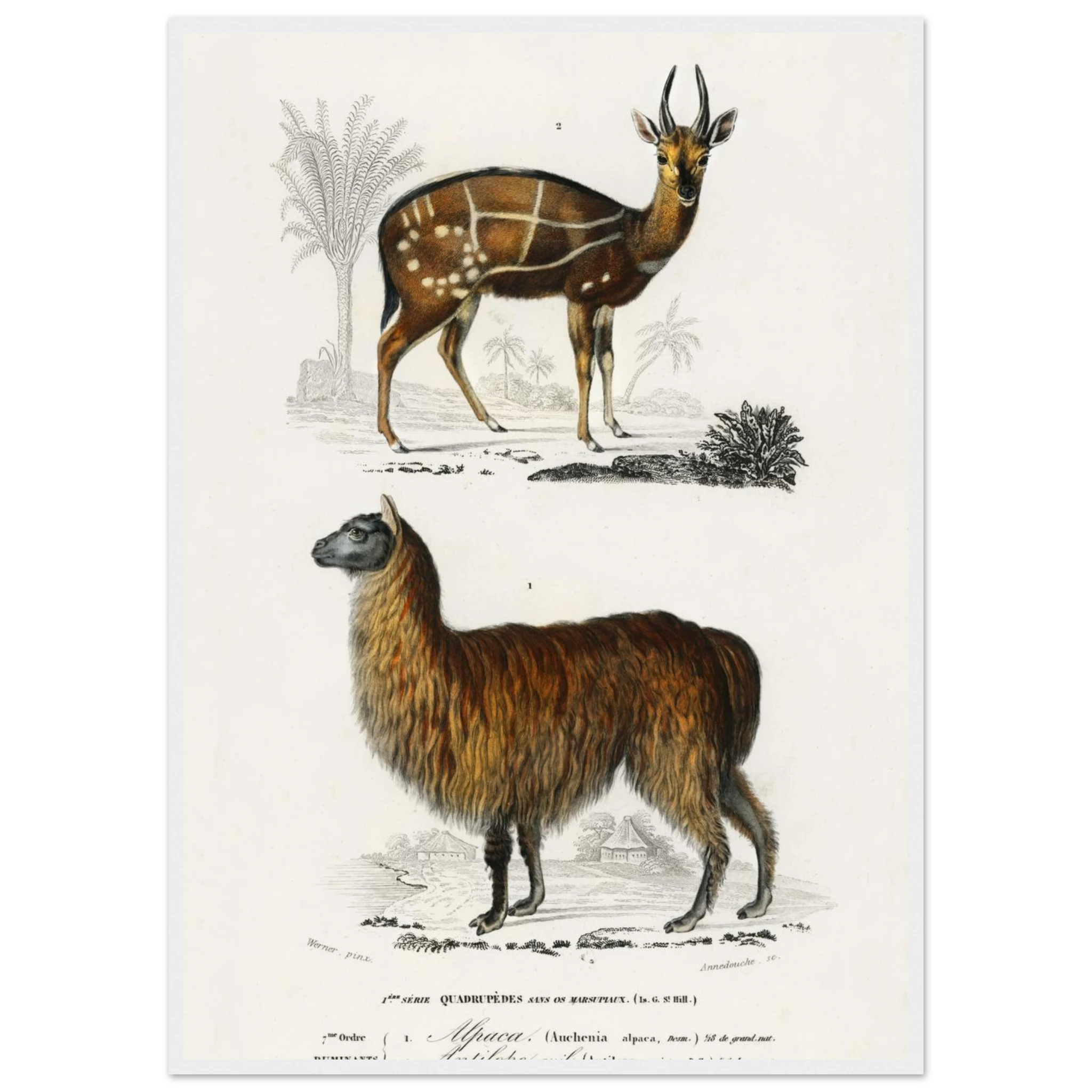 f698cdcd-d622-4678-830c-038d2566005c