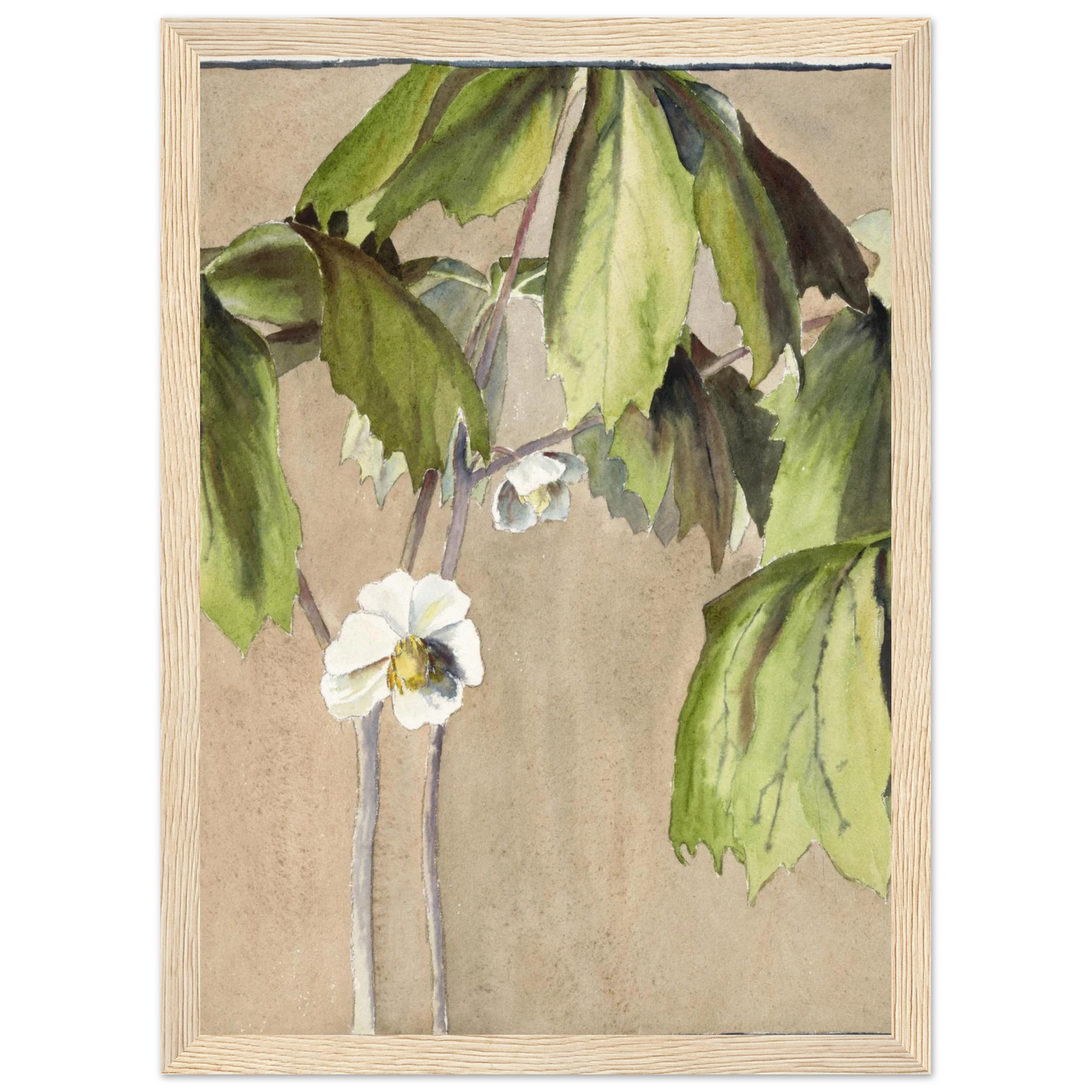 f6e2f5a8-024e-4de5-9092-4d2afa9c63b7