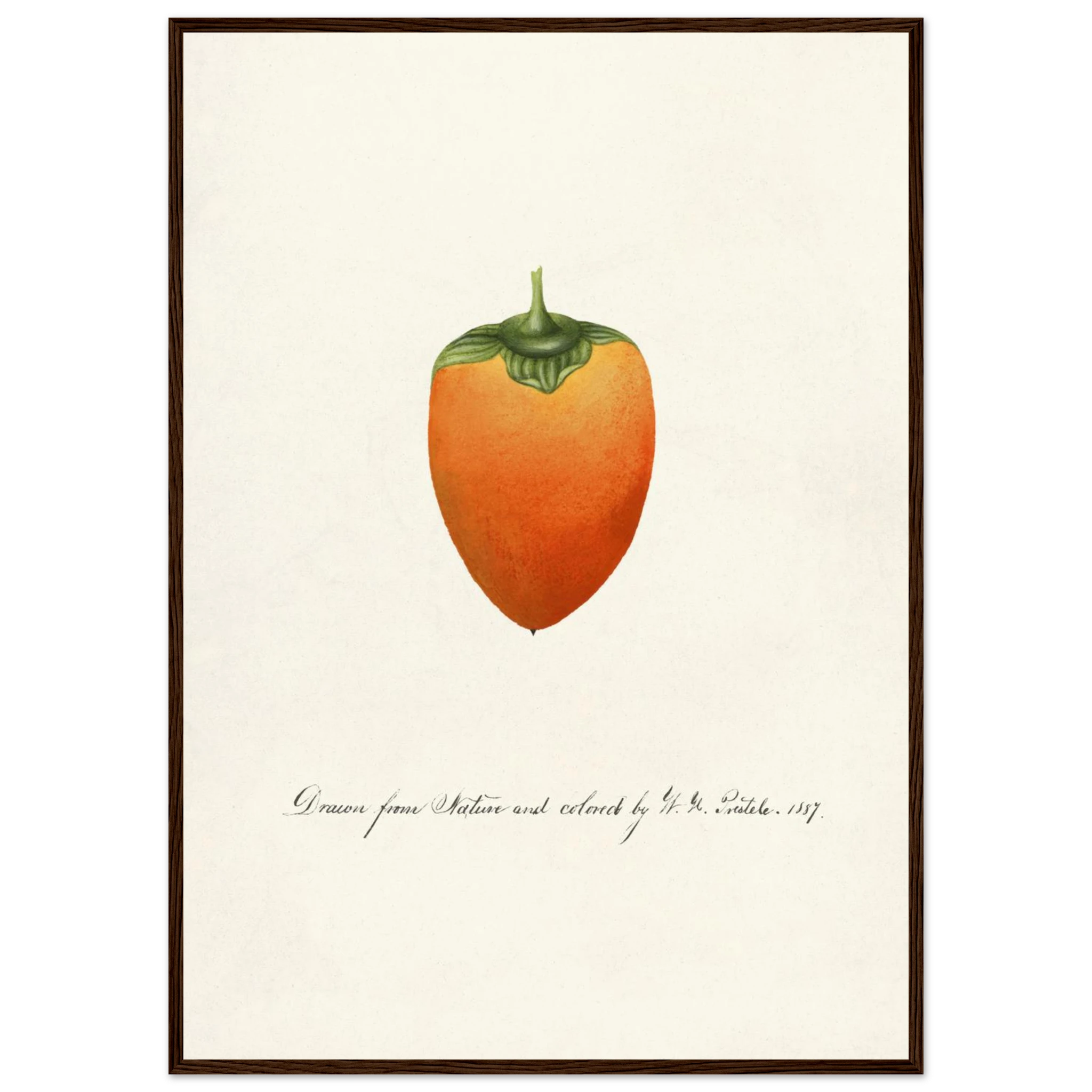 f6eec802-7c75-4db2-ae40-a1fe2b8f4886