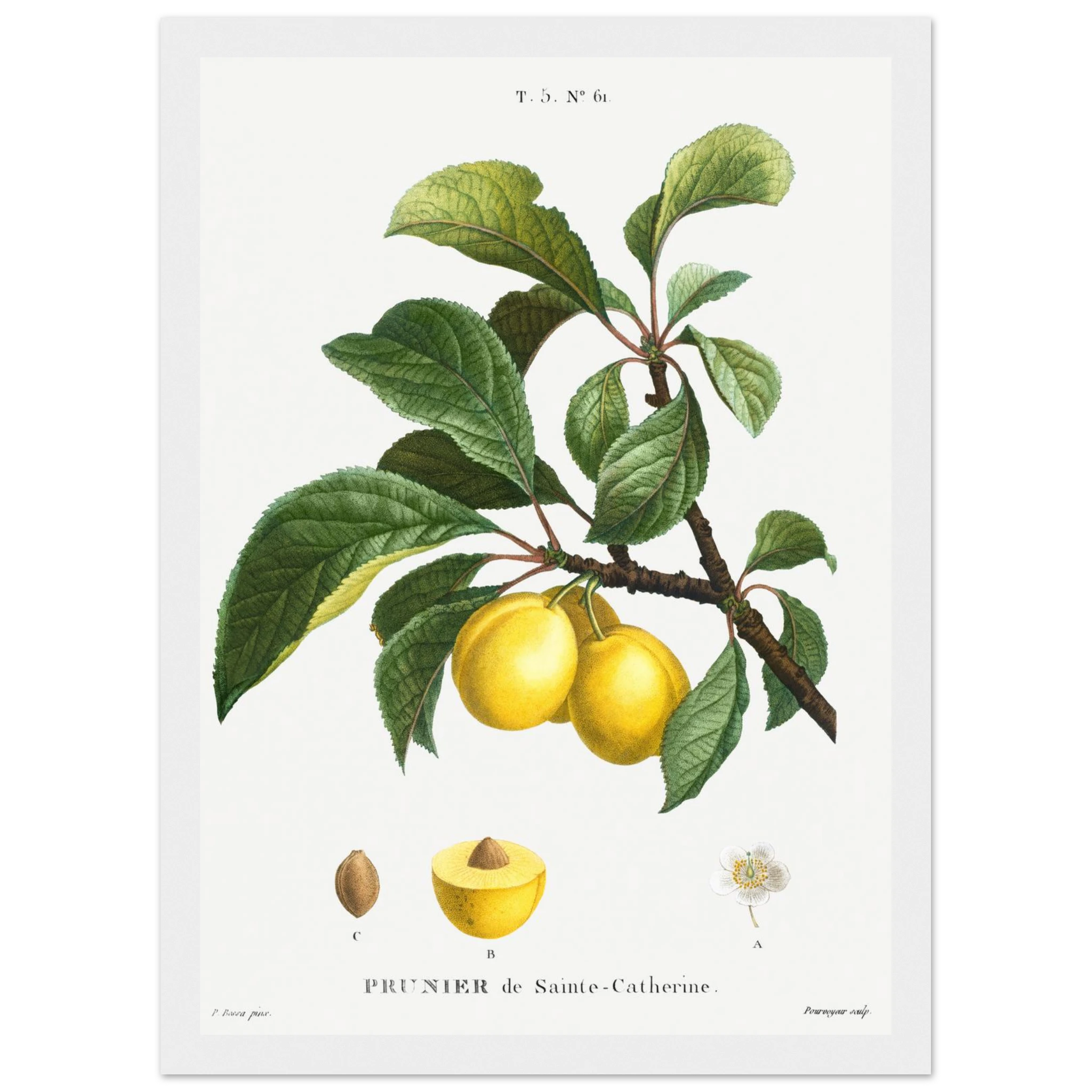 f6f5f45a-6457-483a-b847-cf2e94f60e9c