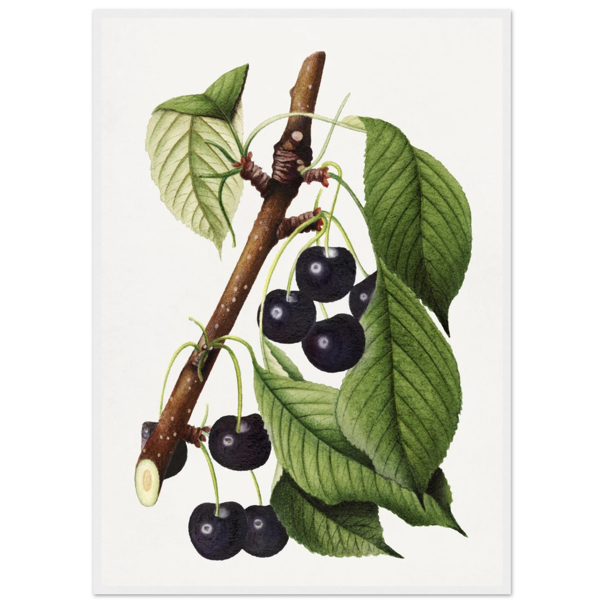 f7093f1d-bbce-41d4-9982-ab1e98fe5502