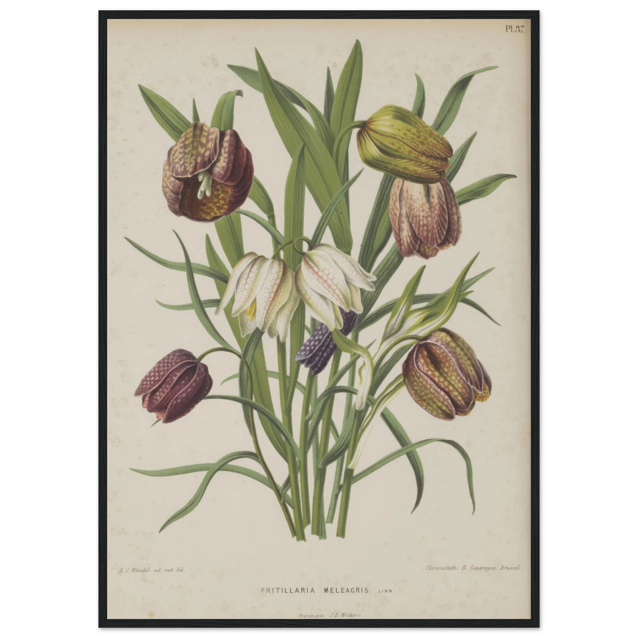 f73ea814-54d8-4a9b-b100-09adab9236c1