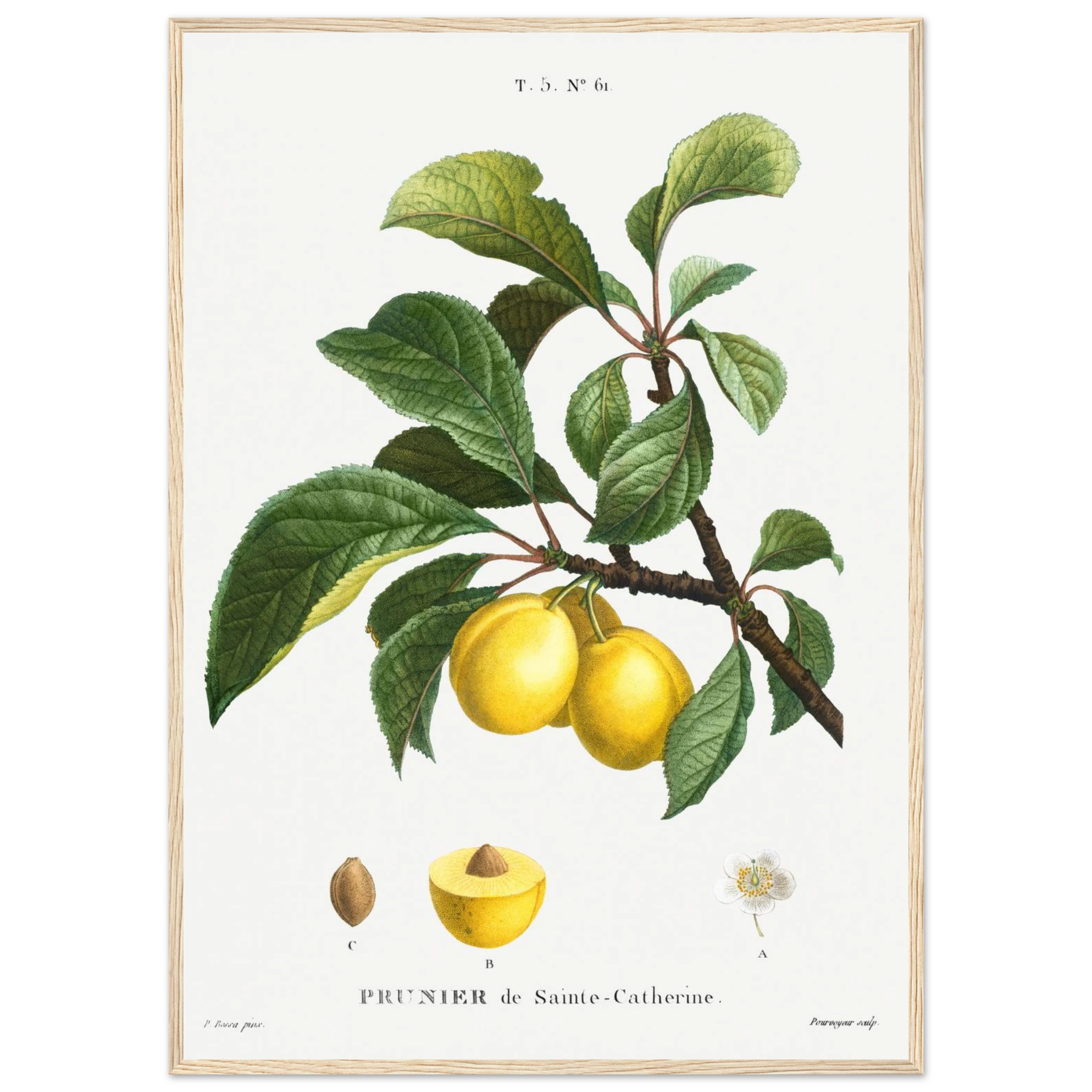 f7a51de8-ef13-4ec9-a745-d35585193512