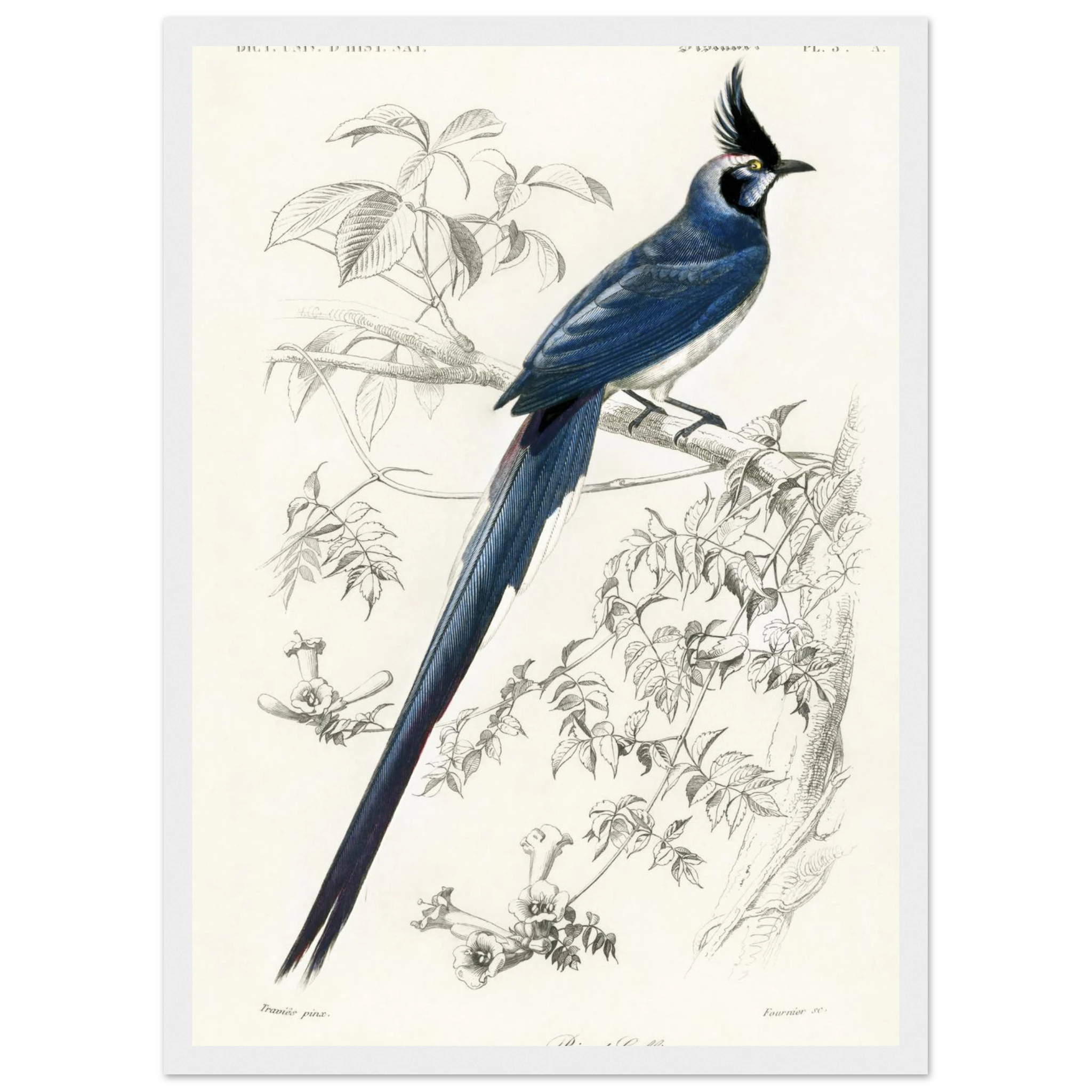 f7c04729-d5ae-4dd3-a77e-f12fe19c1849