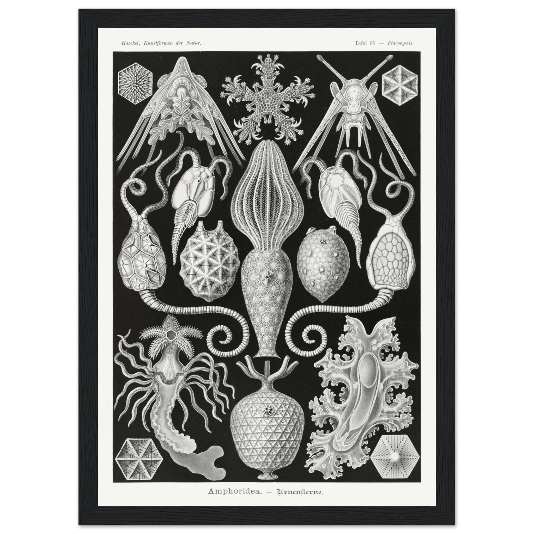 f7f7fd12-a529-4ba4-a1c3-70dd3047f6b5