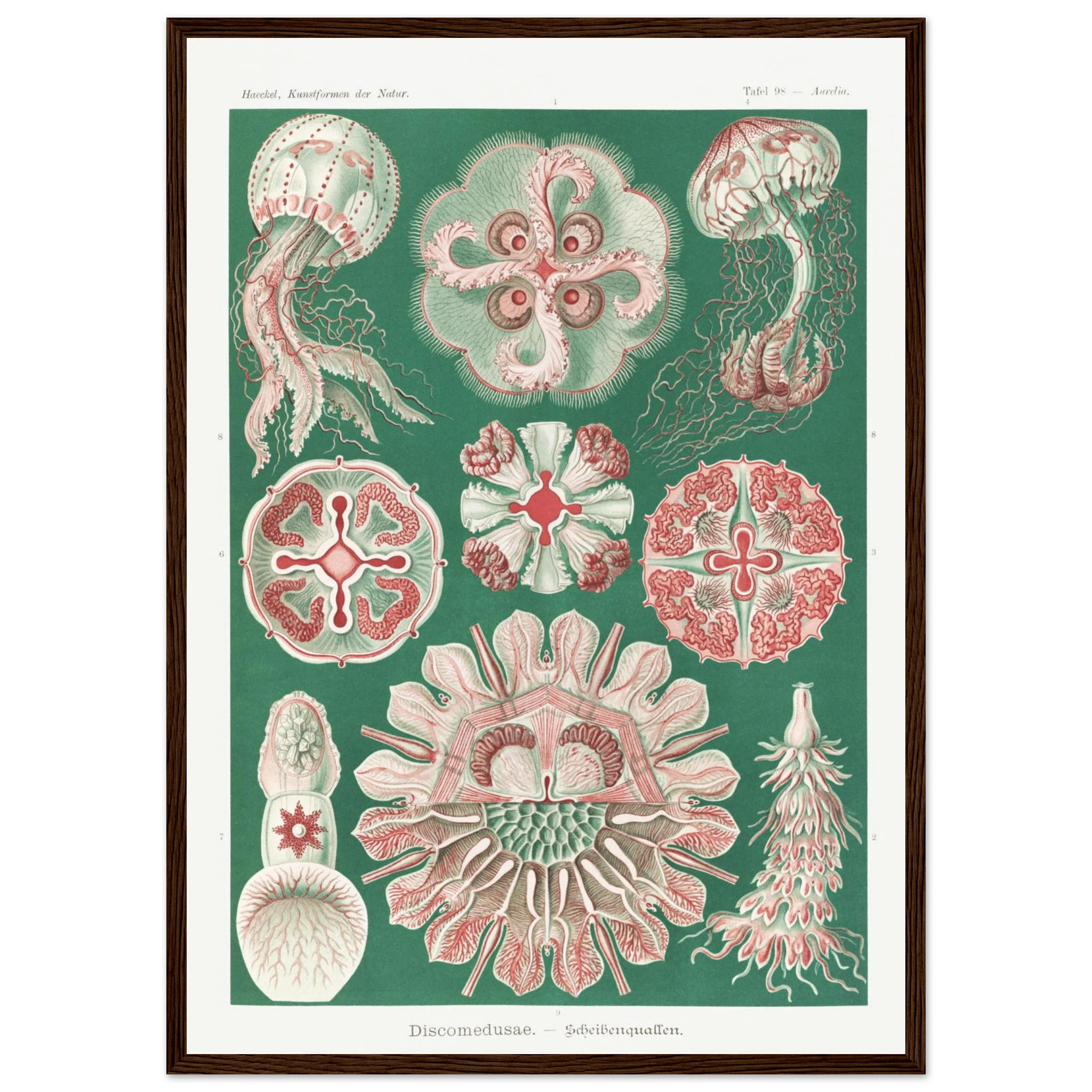 f7fd67f8-663c-467d-8da9-e7f8171fb944