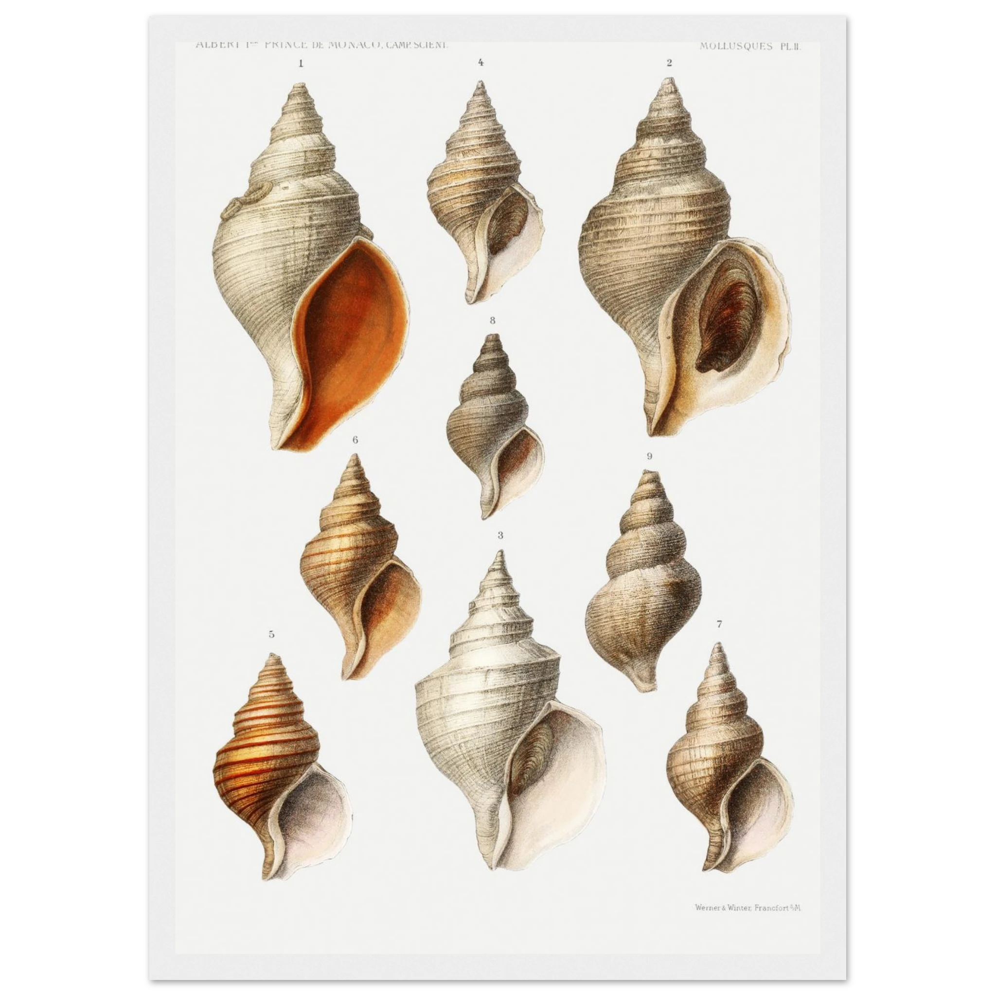 f8276dc4-b596-4fbb-a29c-1d422062806d