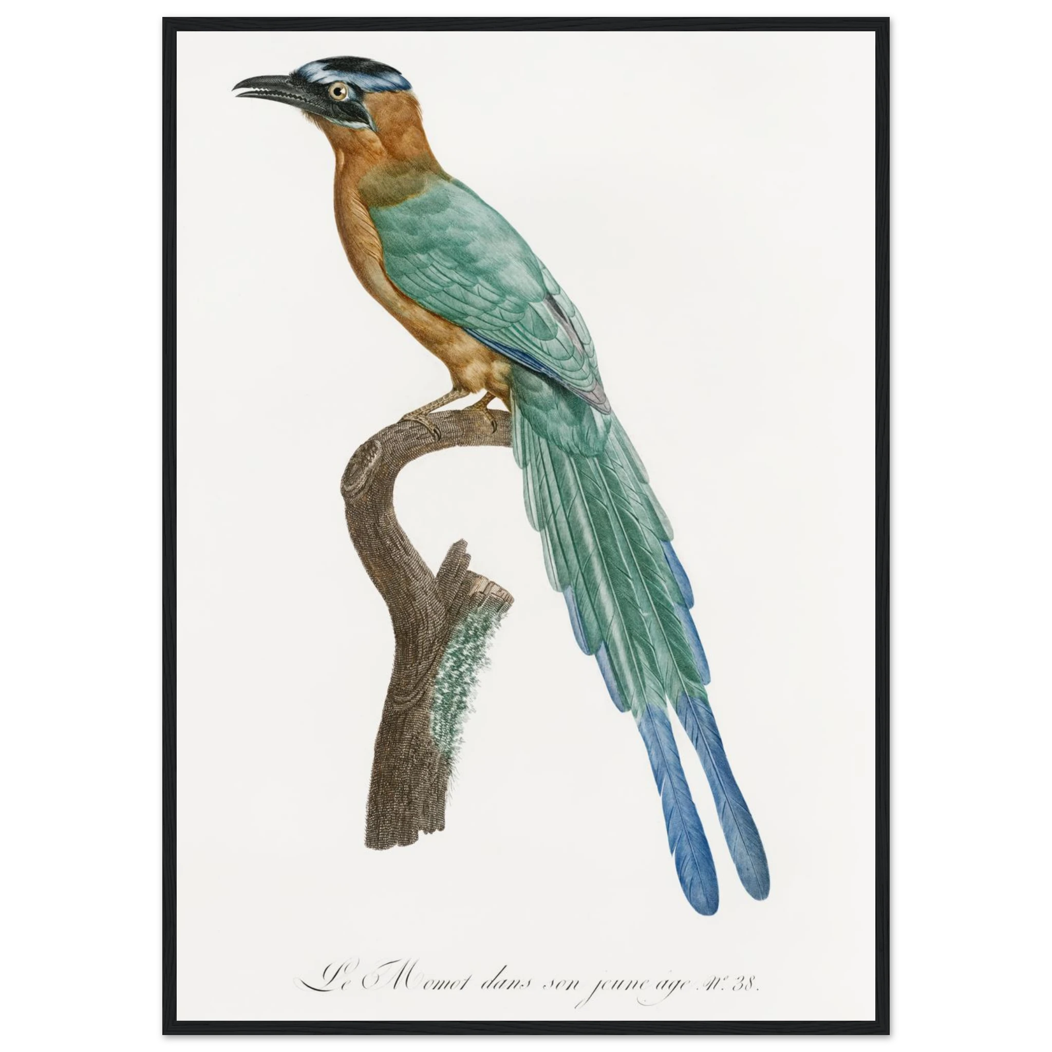 f856ba76-57d5-4c53-9cc2-15d894a54c12