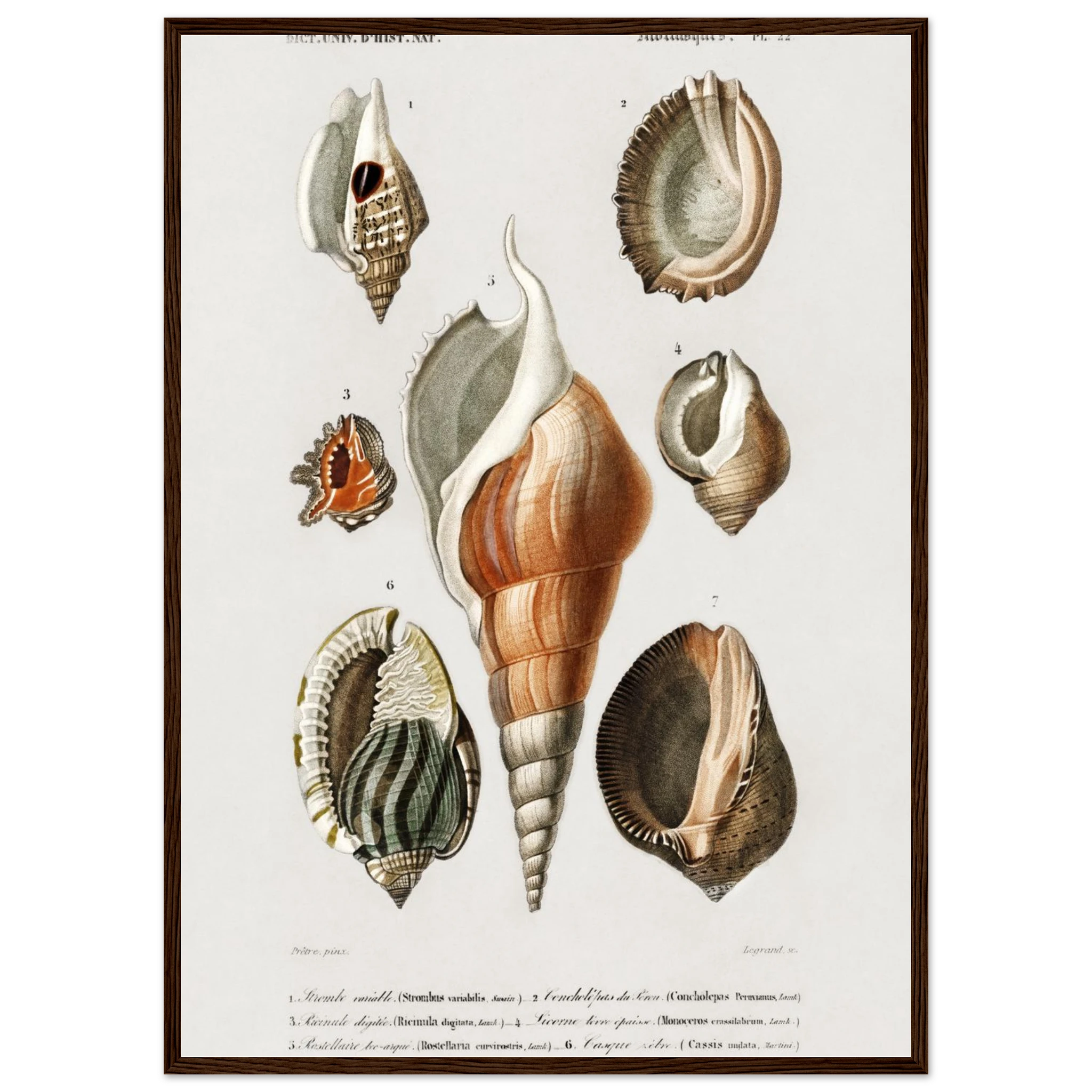 f85a83f7-6013-4d77-aeac-e046c0e62fea