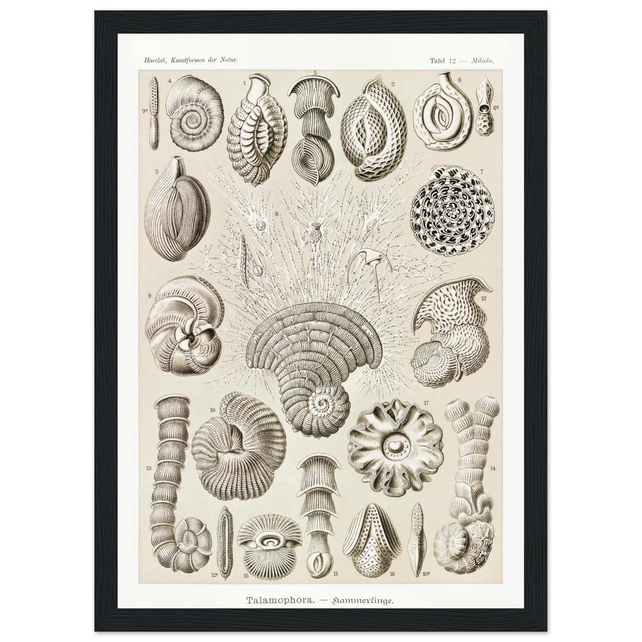 f88fe0d8-04a4-4c9c-999c-db282c715460