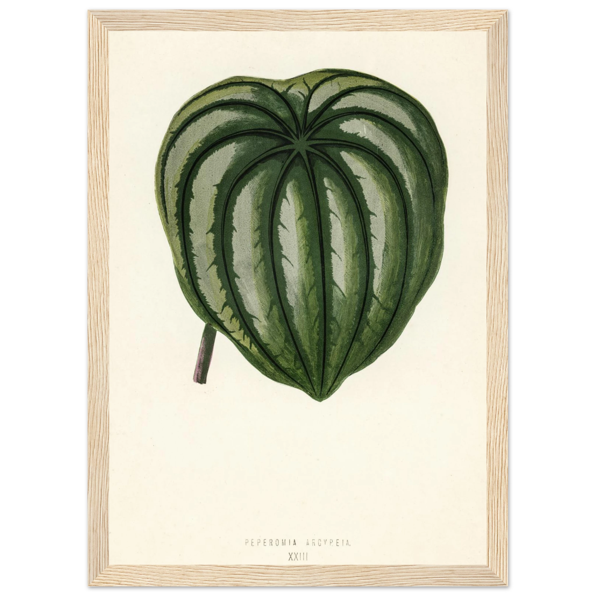 f8a695df-afbd-4630-9055-54b501a4b12f