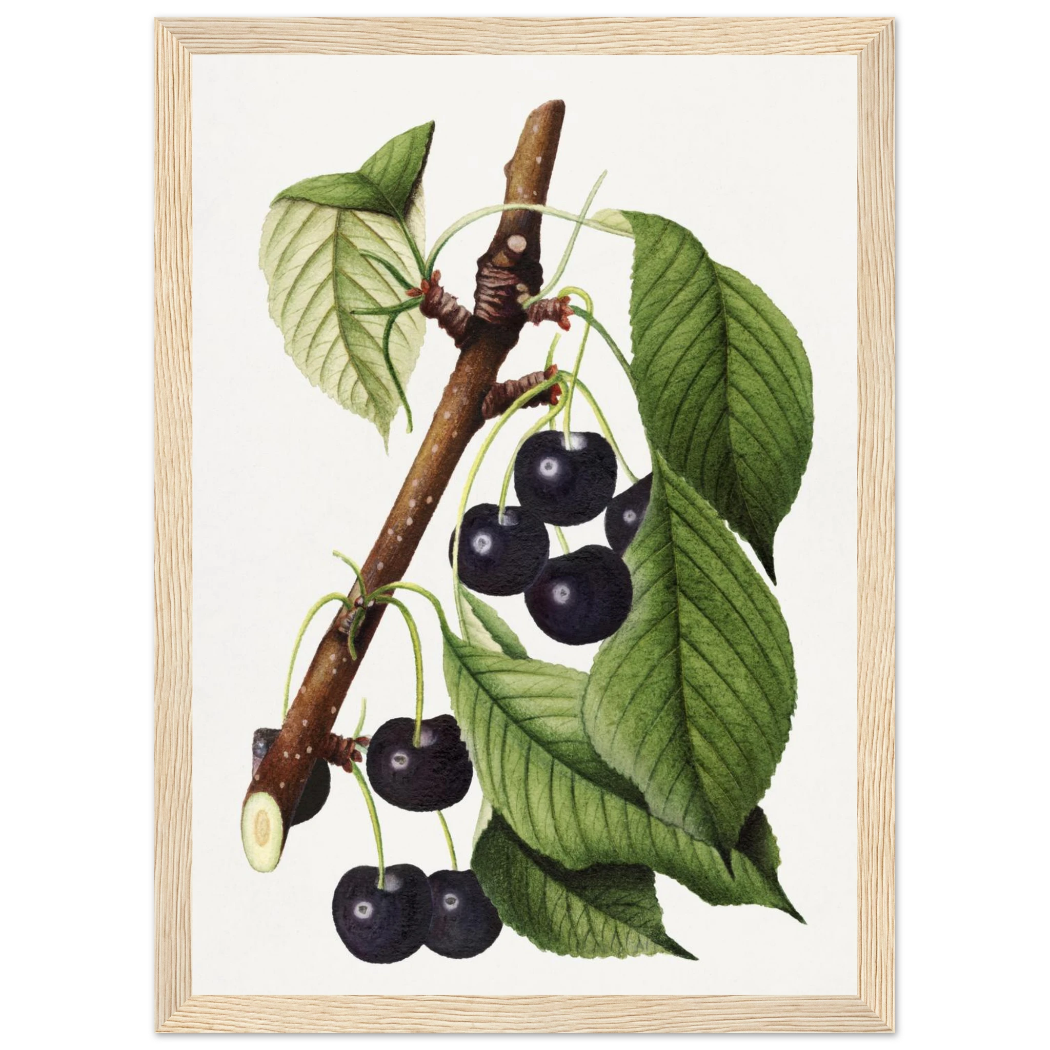 f9062fbd-9761-4d23-80bf-75ba739d3096