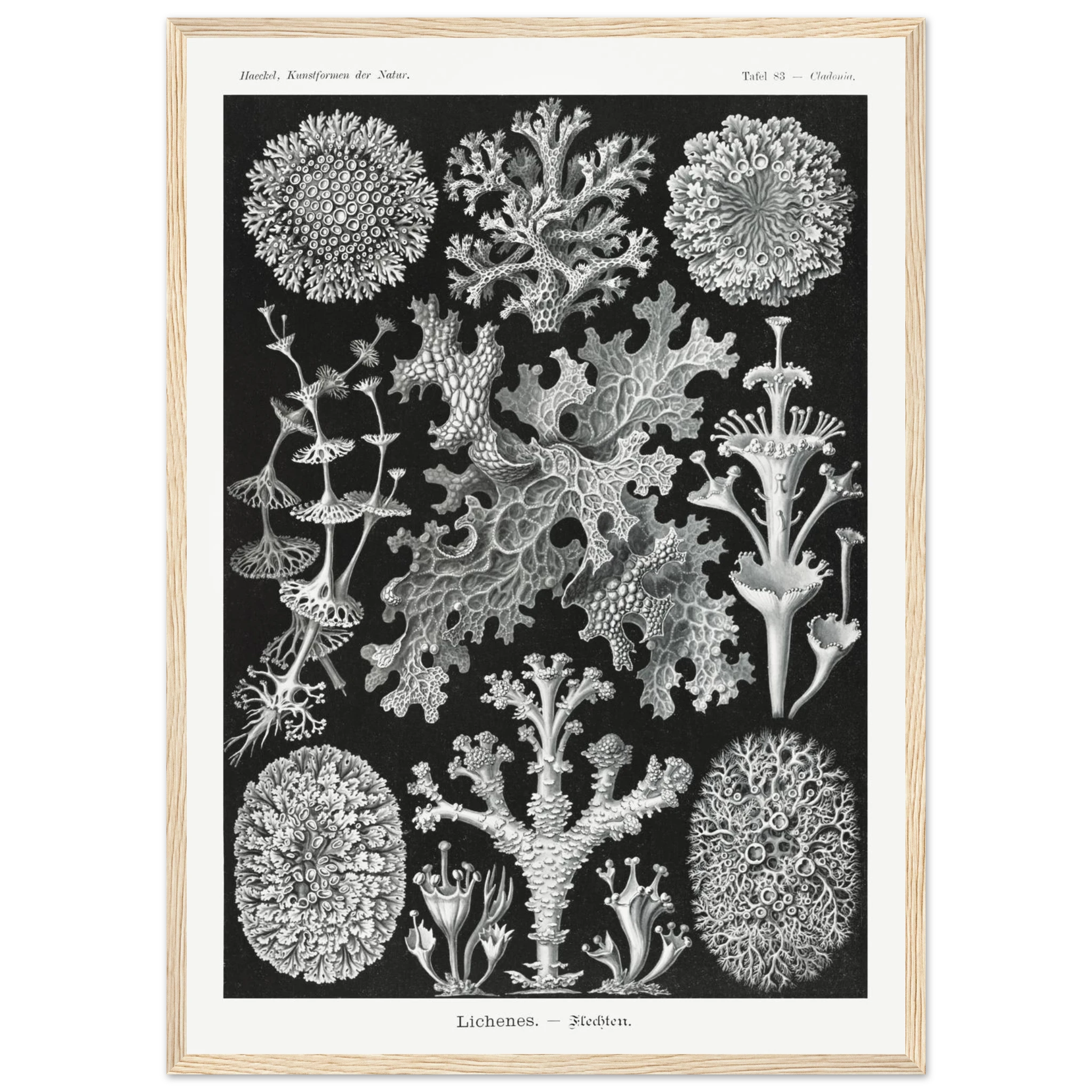 f96588a1-2534-4043-bb87-d6e9d8bbb11d