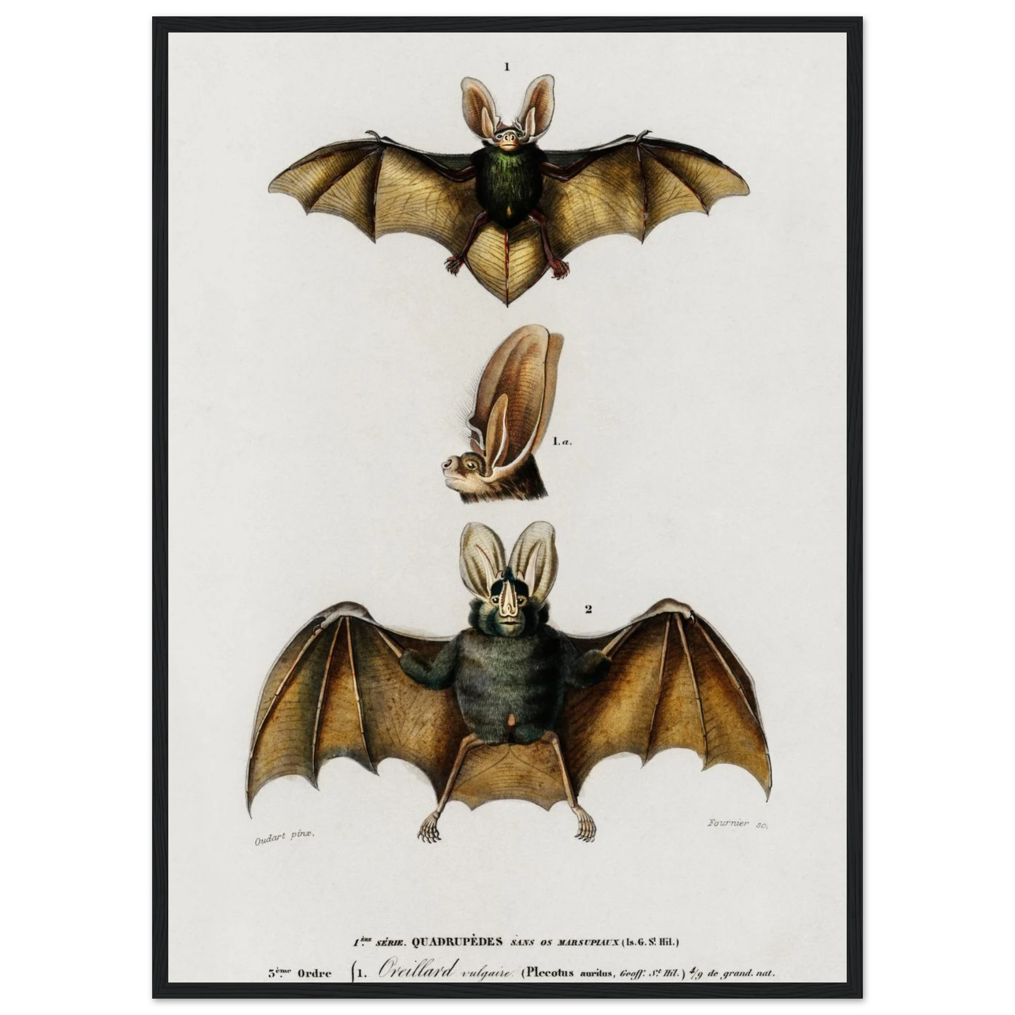 f98cf7c9-dfd3-4abd-94da-a321ef778226