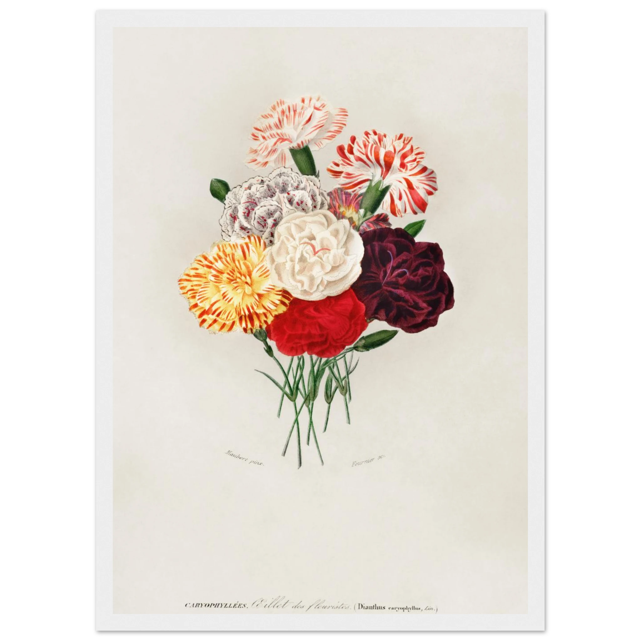 f9a36e18-2db0-488a-b815-66d7cb5ba8dd