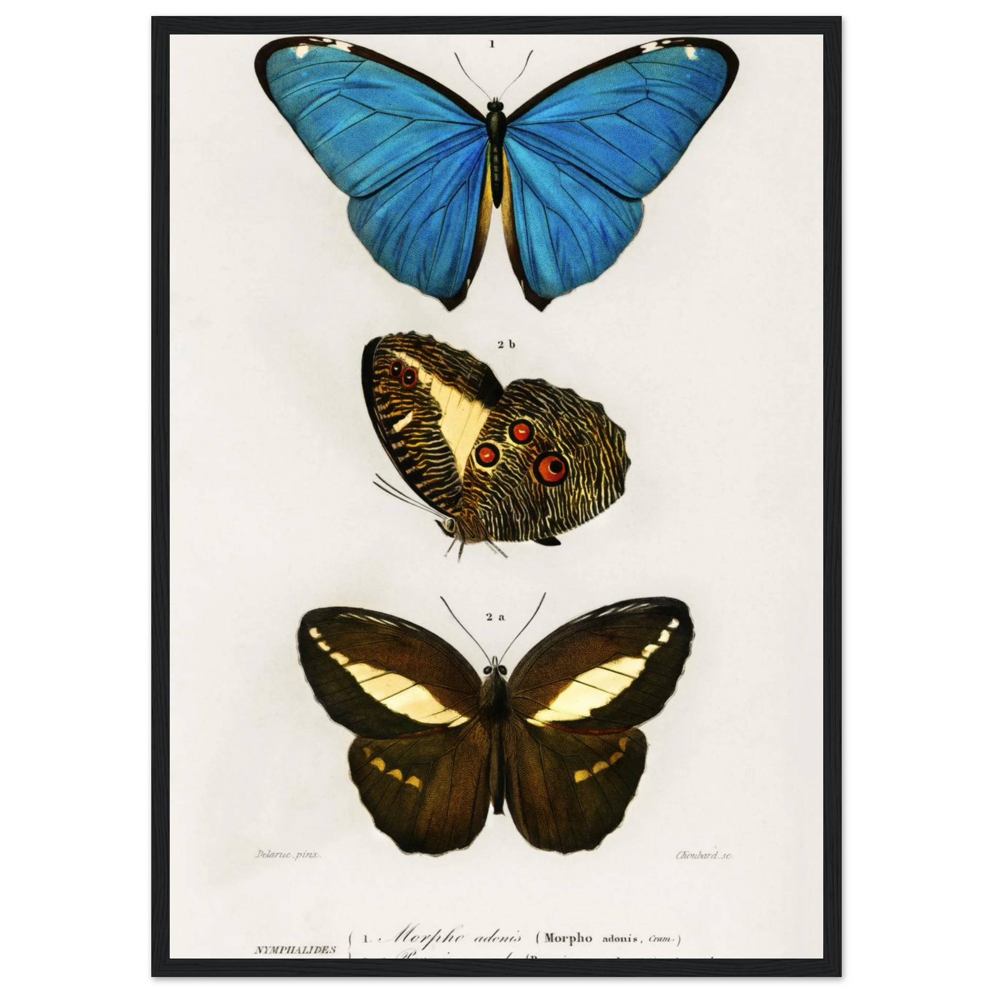 f9b7705a-38f0-4a6b-b21a-302ae8cd54a5