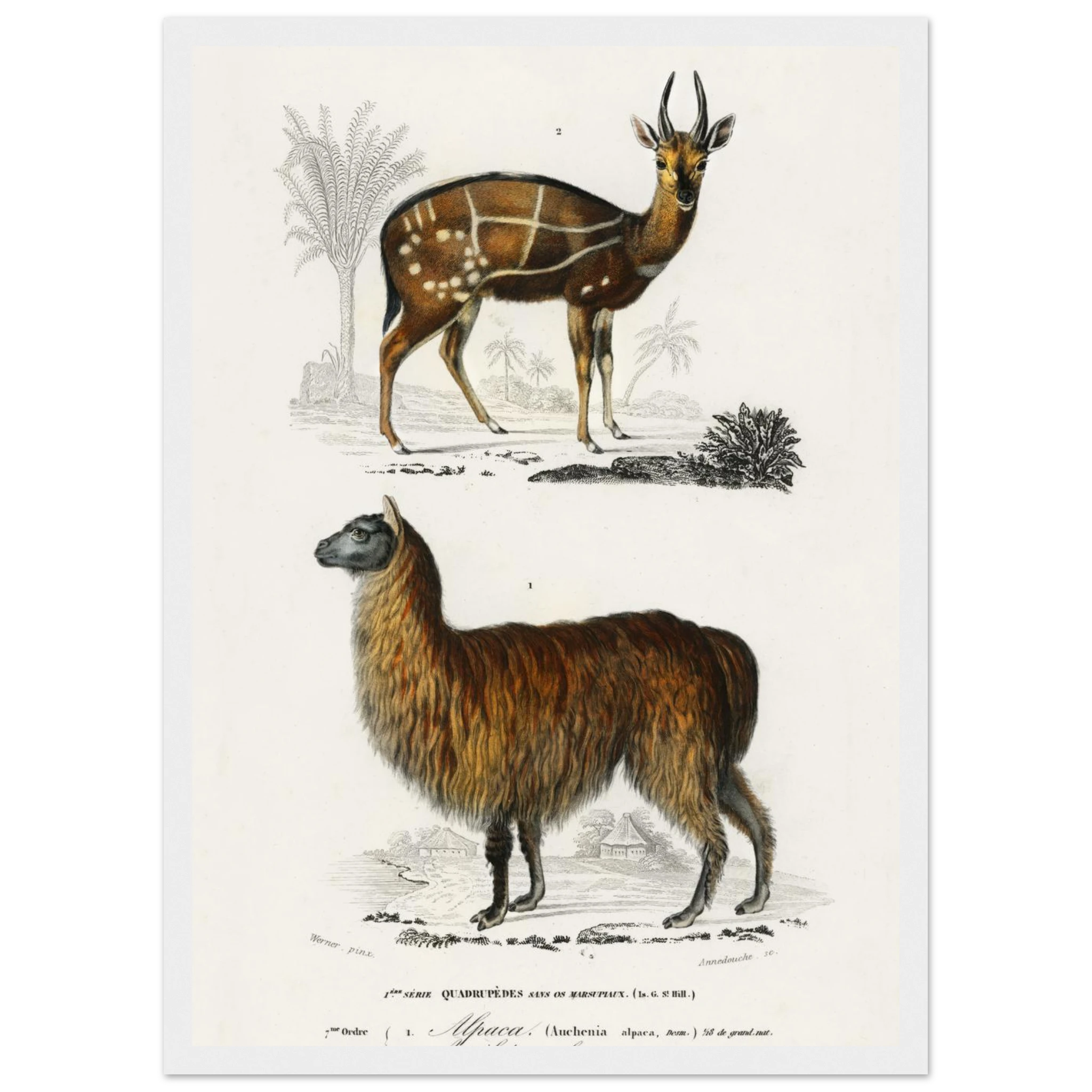 f9bd9c8d-3dd2-439d-a00b-1b2554e91565