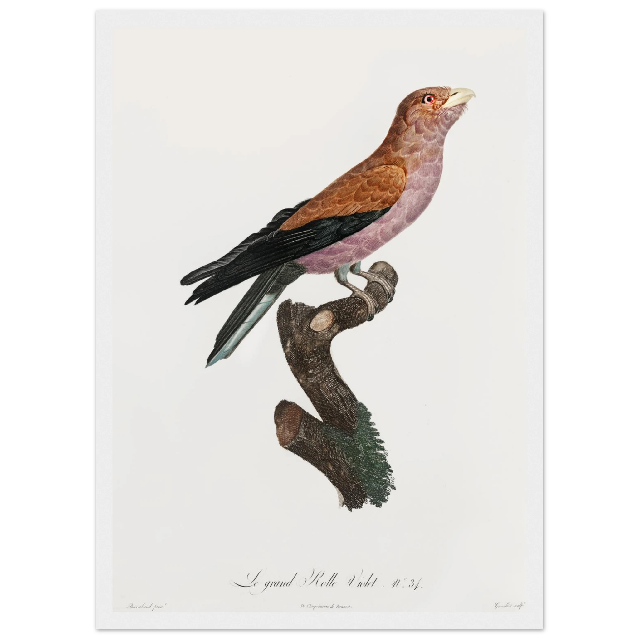 fa049a69-a14a-43df-9c34-95c7240cc22a