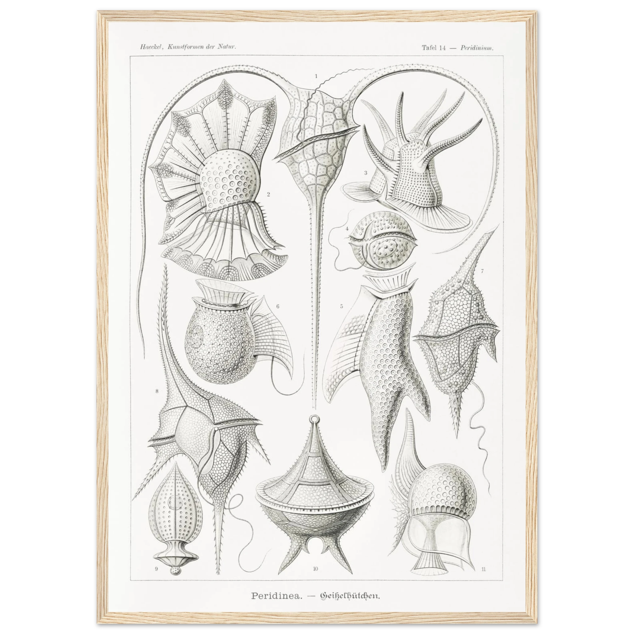 fa17b6e2-e086-44e9-8993-48e0417c00b7