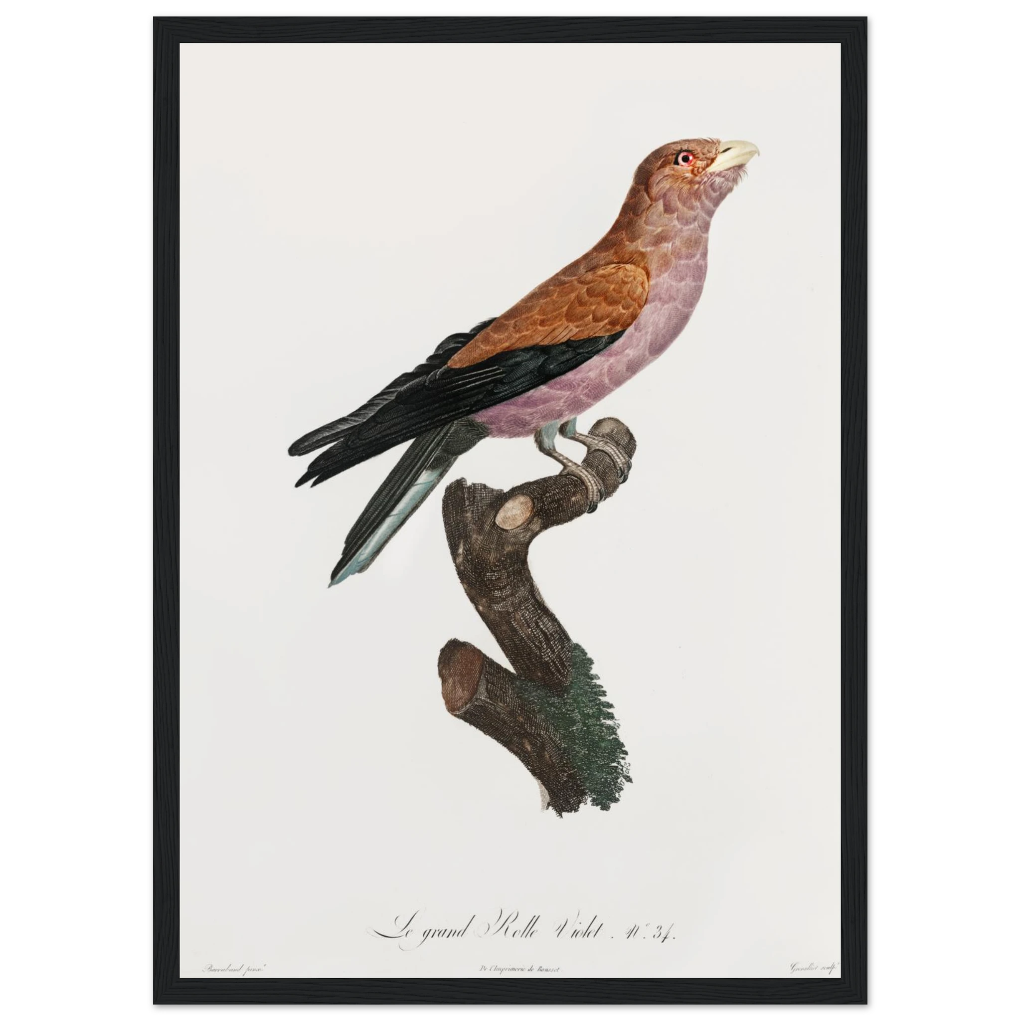 fa55682b-0d23-4f01-be2e-52fb0e7ce4b9