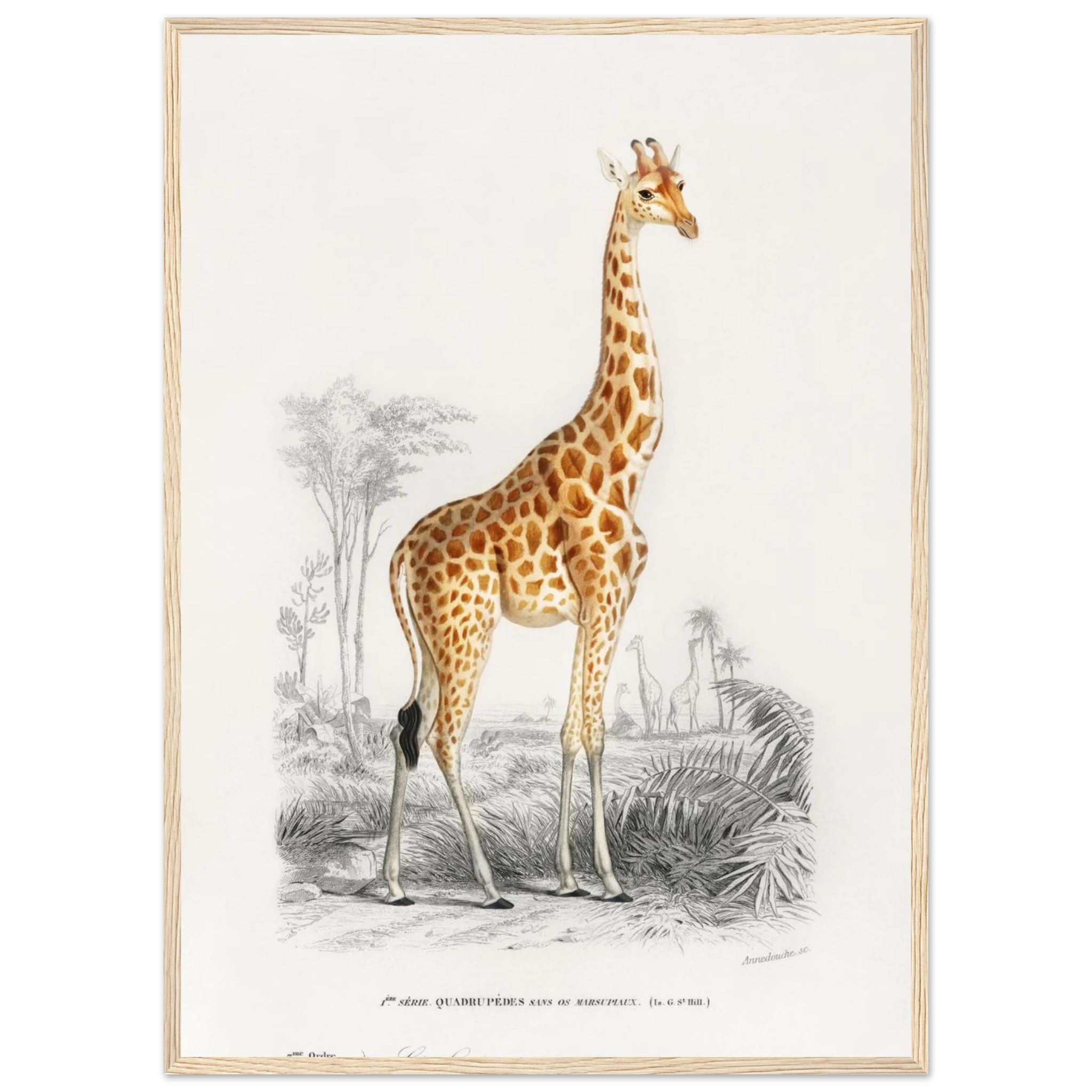 fa5b66cc-893d-45cb-90c4-b15a459d9972