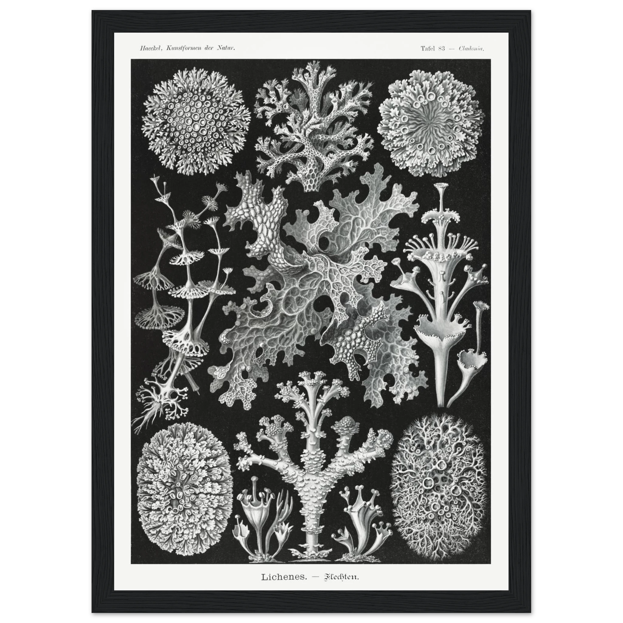 facfc71e-9f7b-4bdb-b968-3d758f1d1cbe