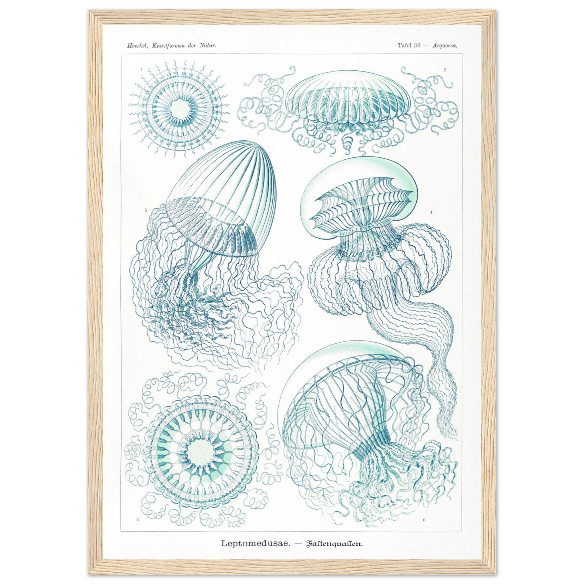 fad24a51-5089-432f-9f17-4d926e97b7da