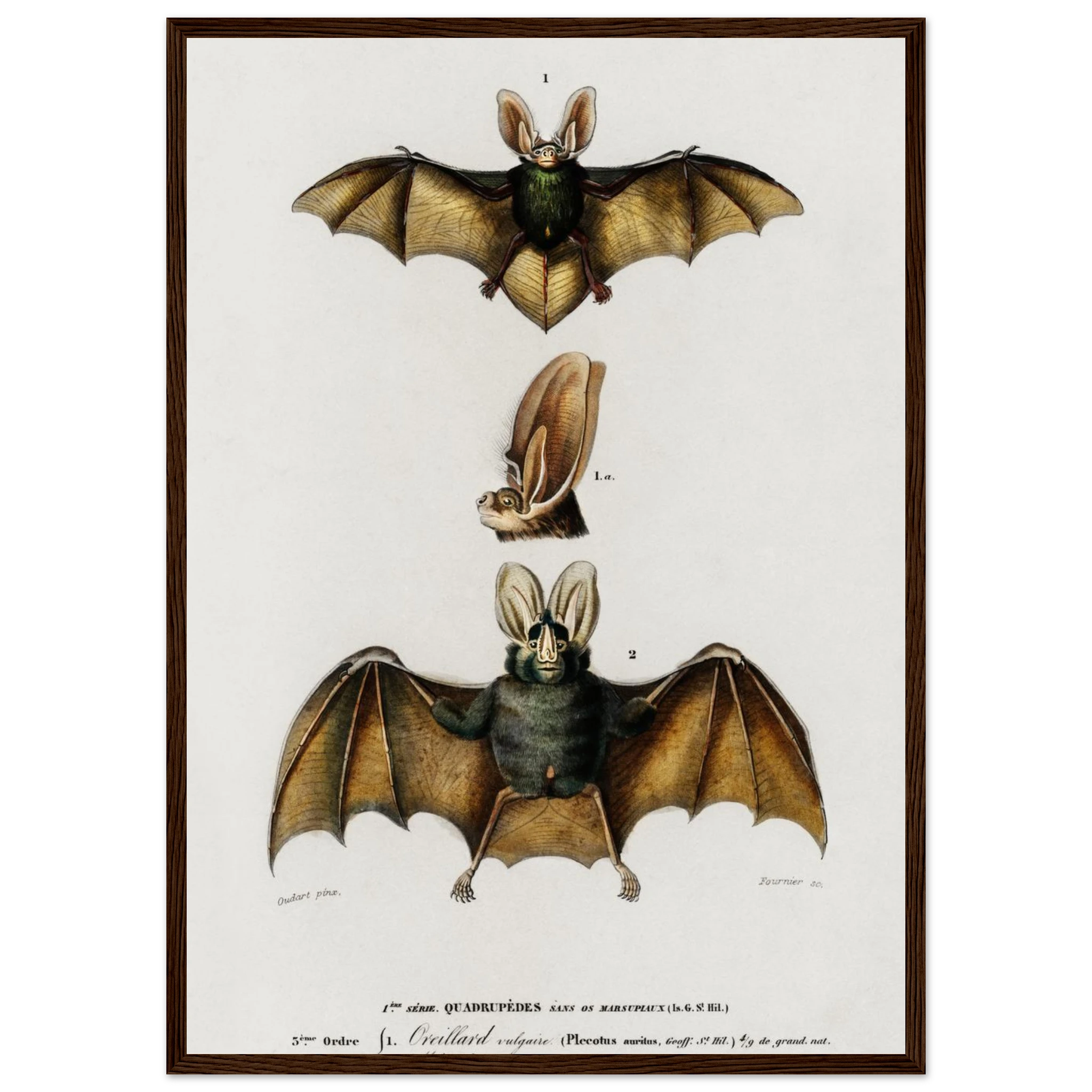 fb03c1d4-0a9b-4a07-a715-4522315b8704