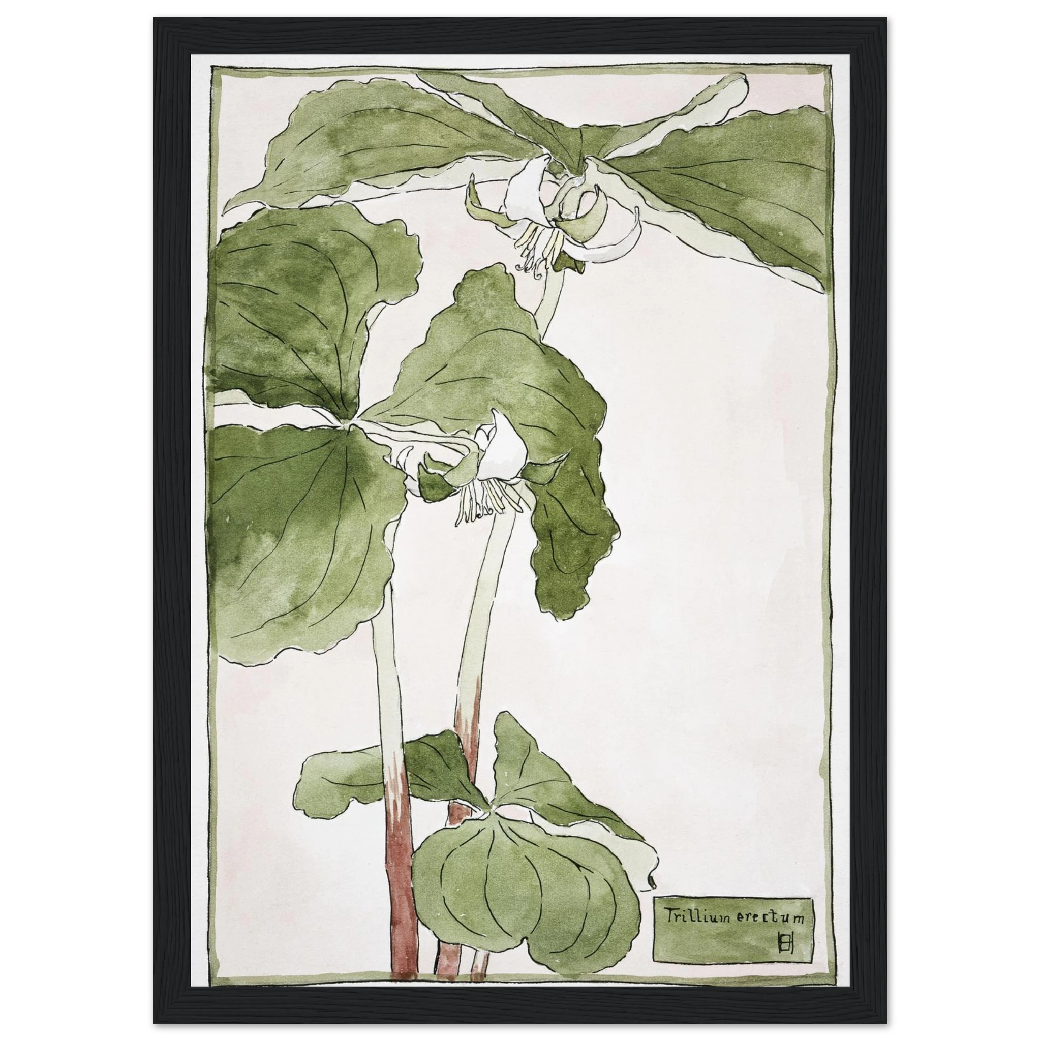 fbcaf5bd-146e-45c2-adc5-0b8fe2e1e977