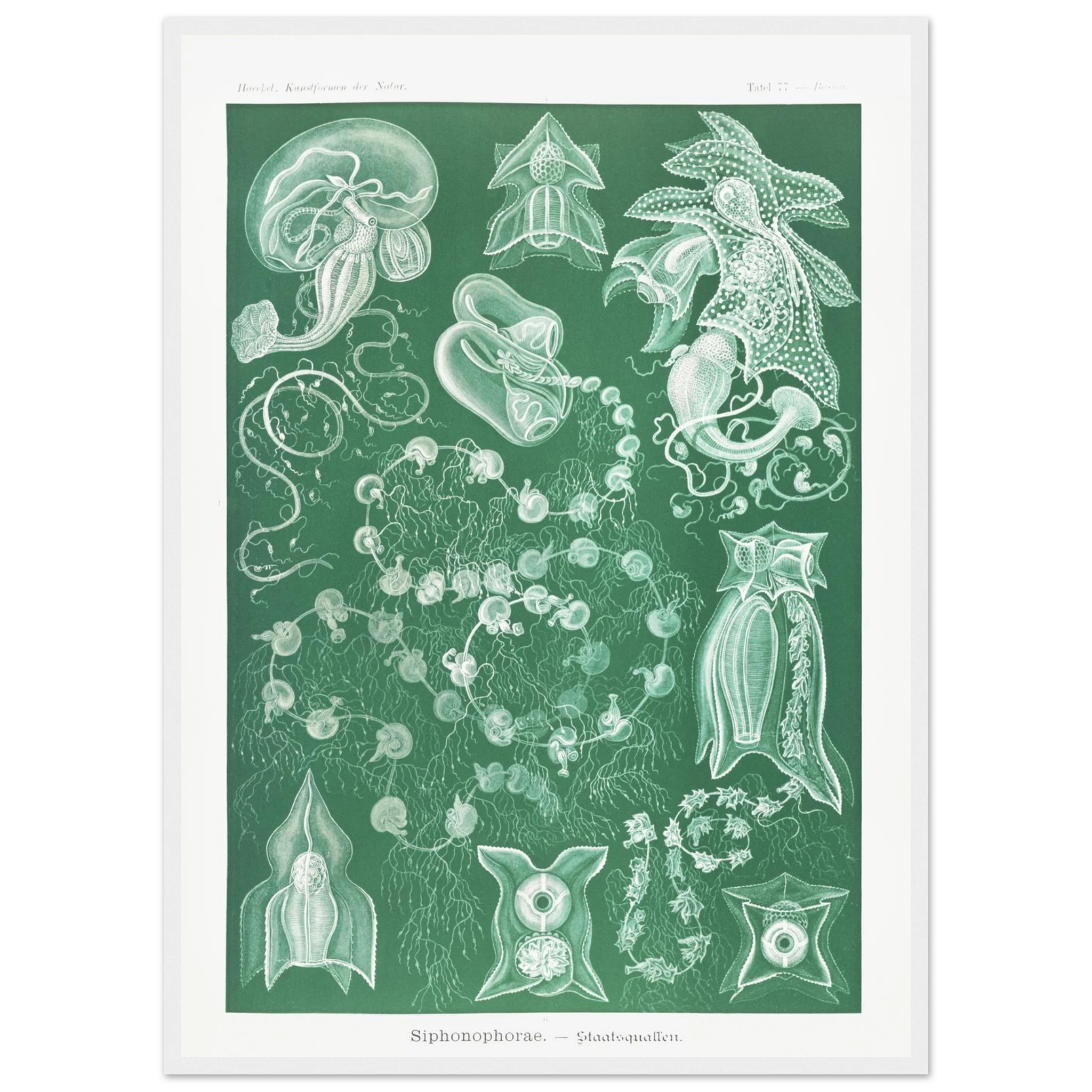 fbf6f4a2-b5ad-48ed-9664-a3a32a68817f