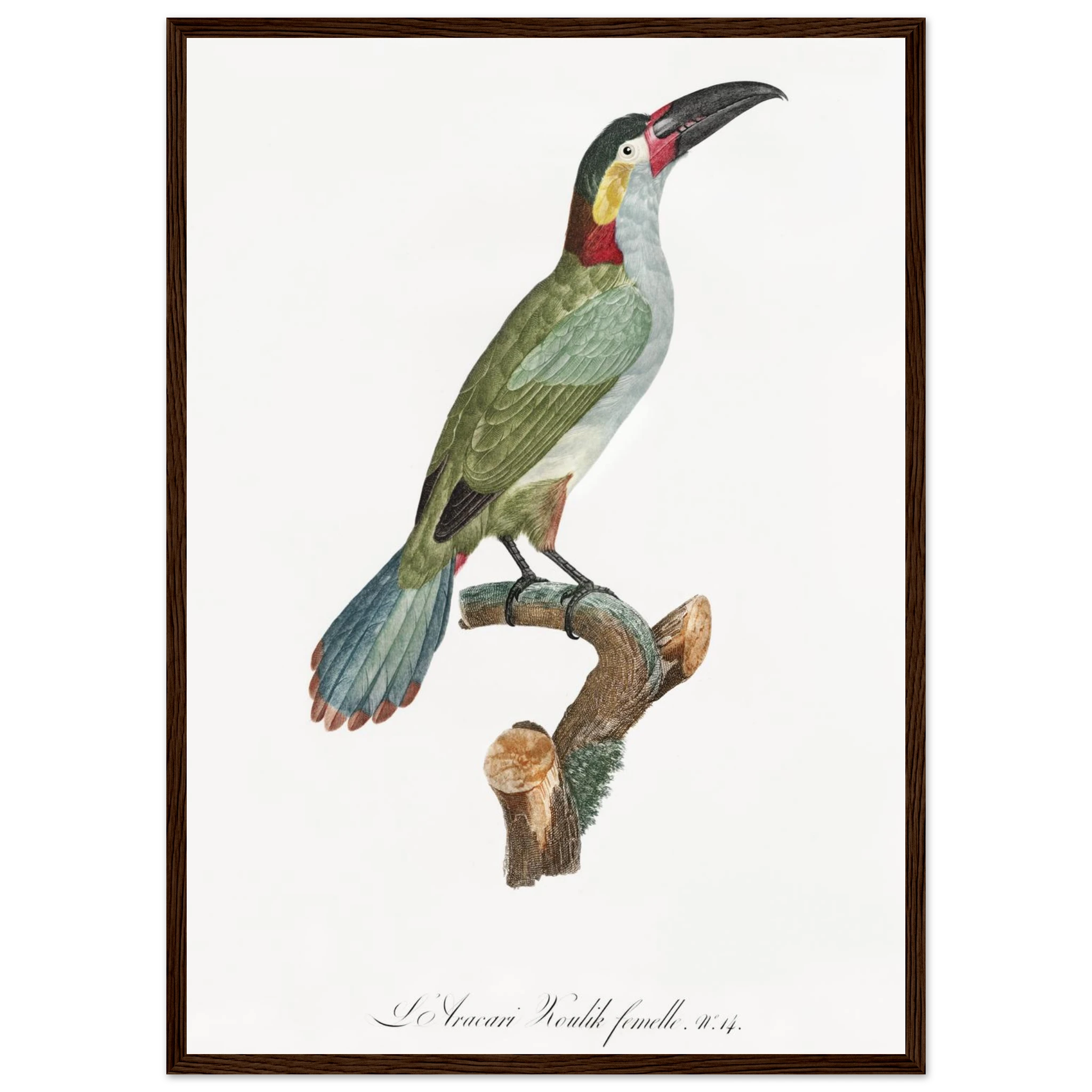 fc03f3c9-ff38-4f33-99b0-9eacf8693442