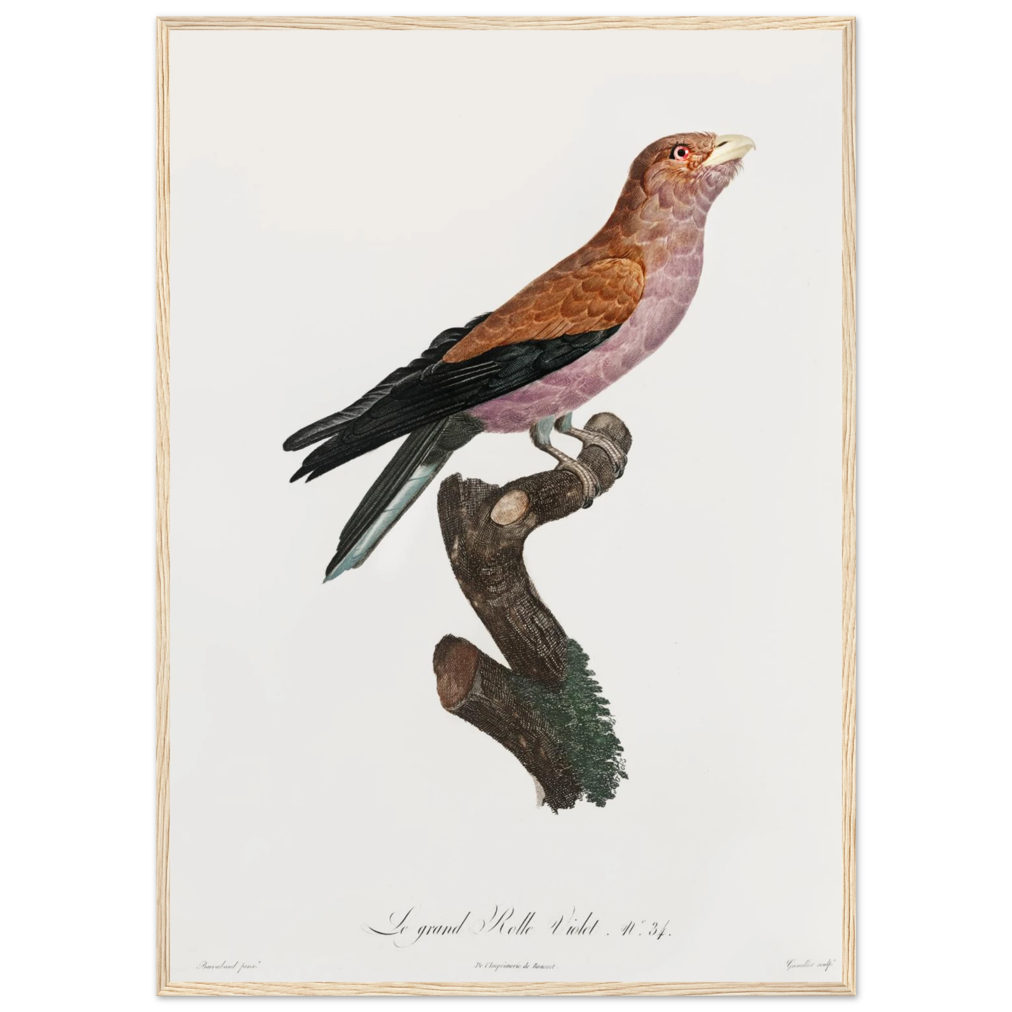 fc1556bd-cc61-4da5-b28f-0344d1d1004c