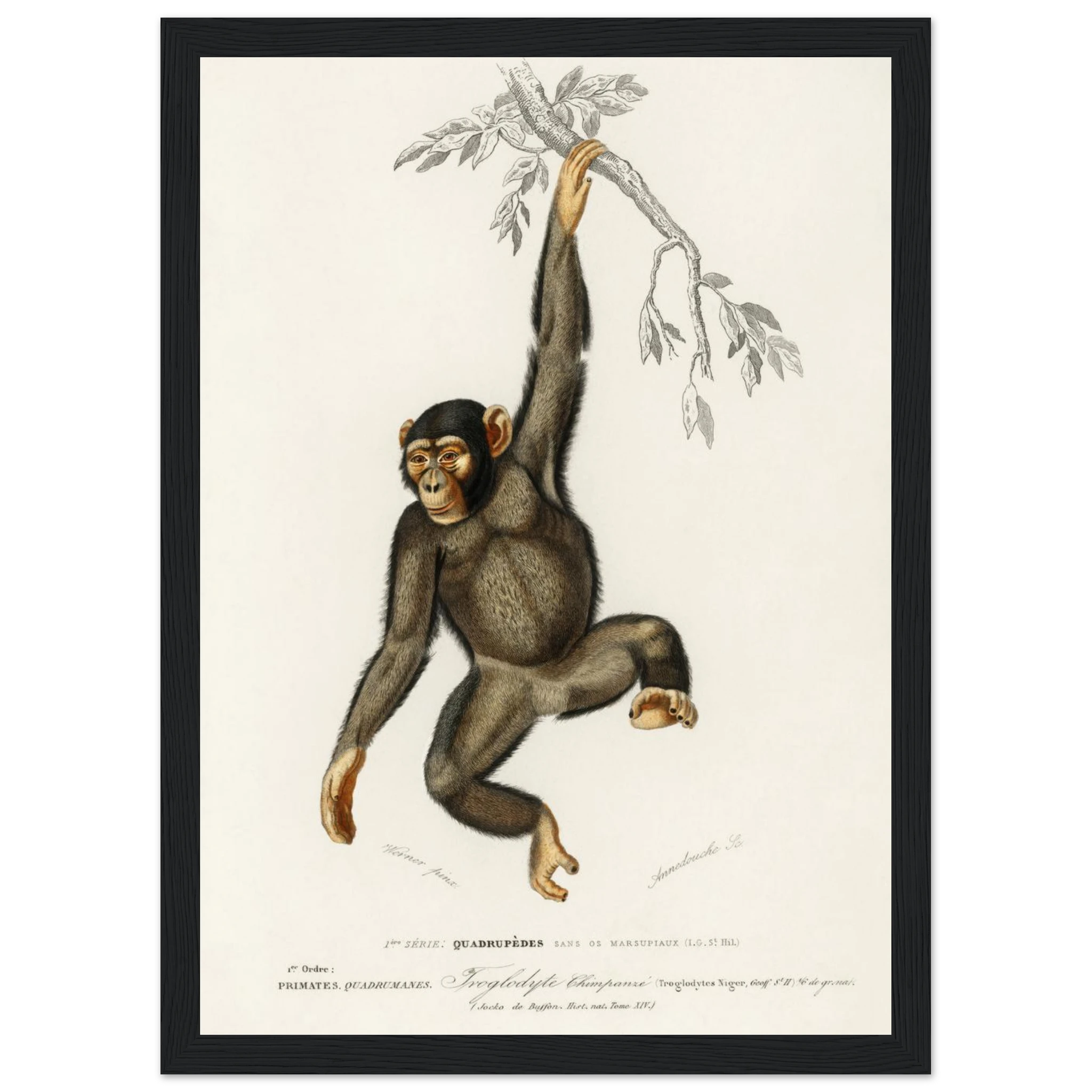 fc3e0b6c-2546-4cf1-99e4-65fbb23fb87b