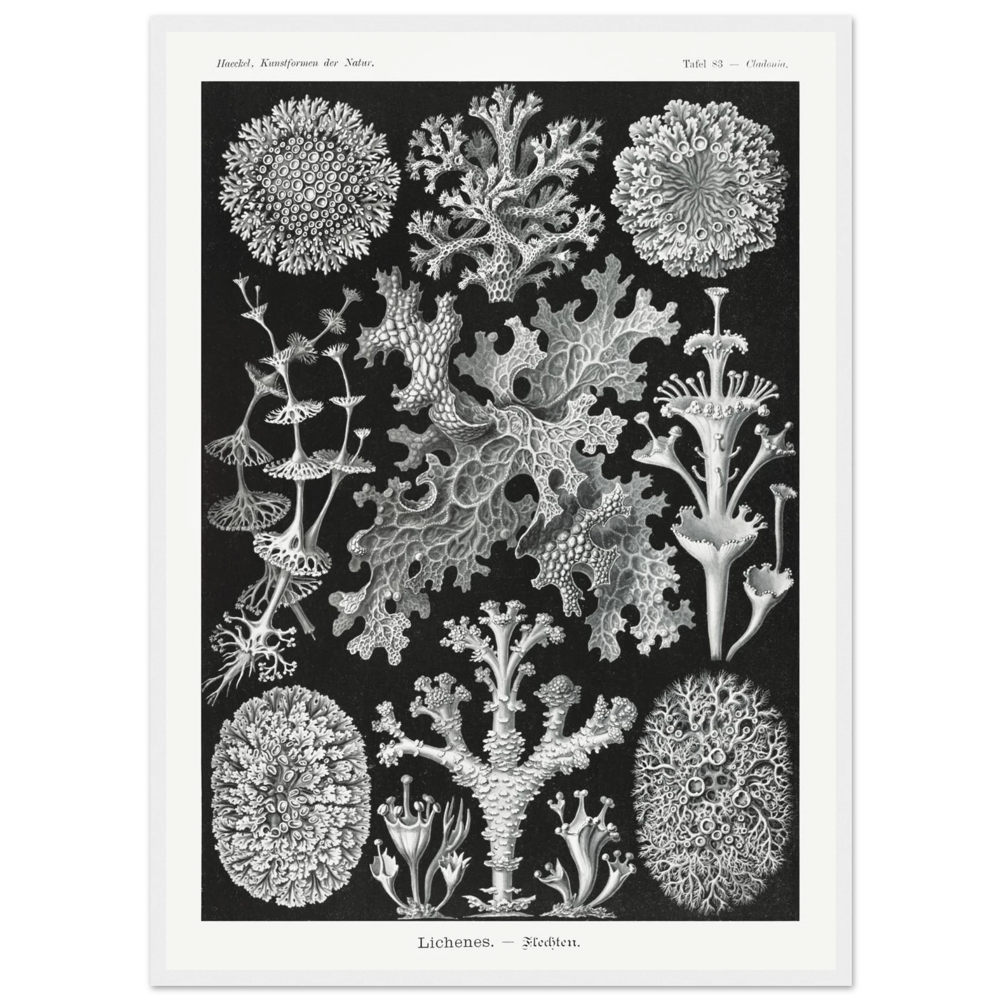 fc7ef5ff-9b32-42ae-95e1-8a9818308954