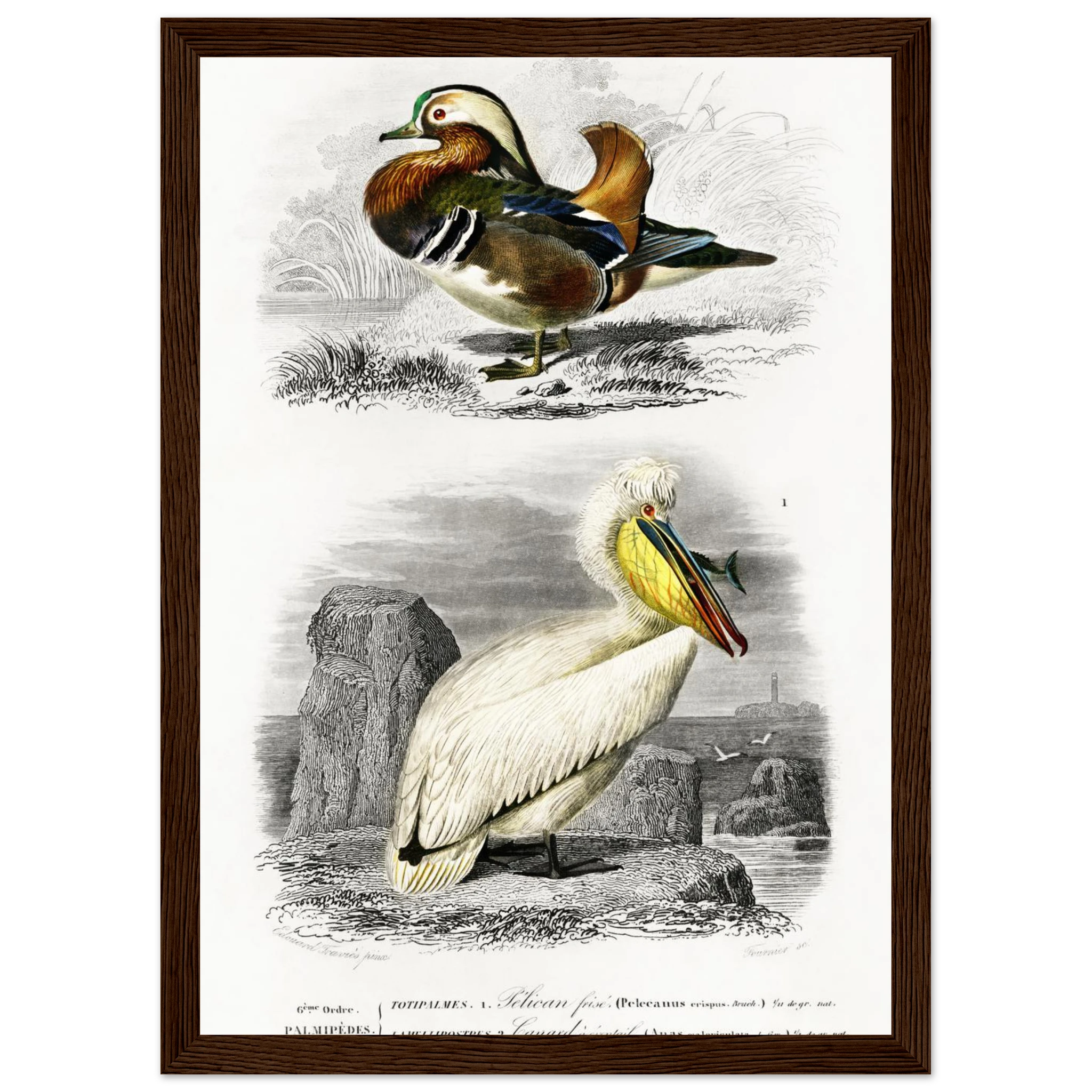 fcb7a43c-59d5-439c-83ef-69170e58726f