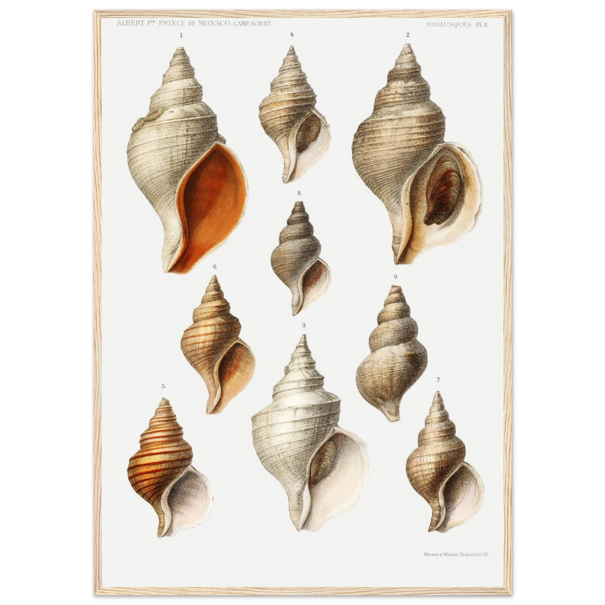 fcbaf127-b96a-40fb-8688-4b125d40f80a