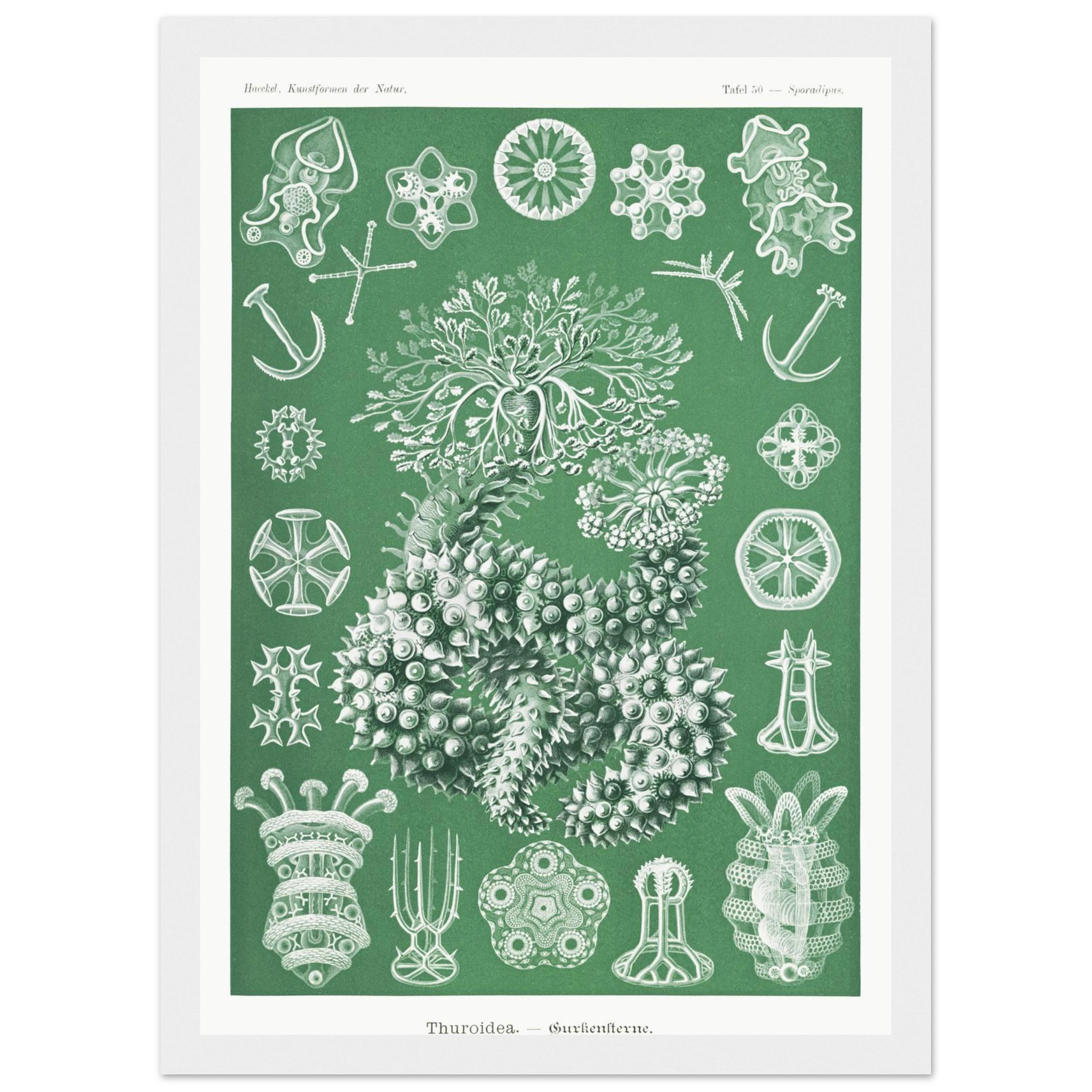 fd9aeef4-266f-48ce-b520-dca6586765bd