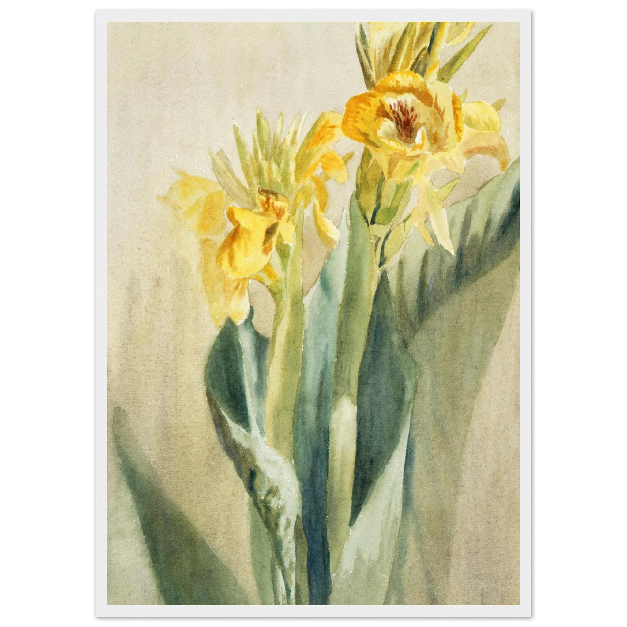 fdb0bb99-19e8-4a8e-a5ce-a677a9f2426d