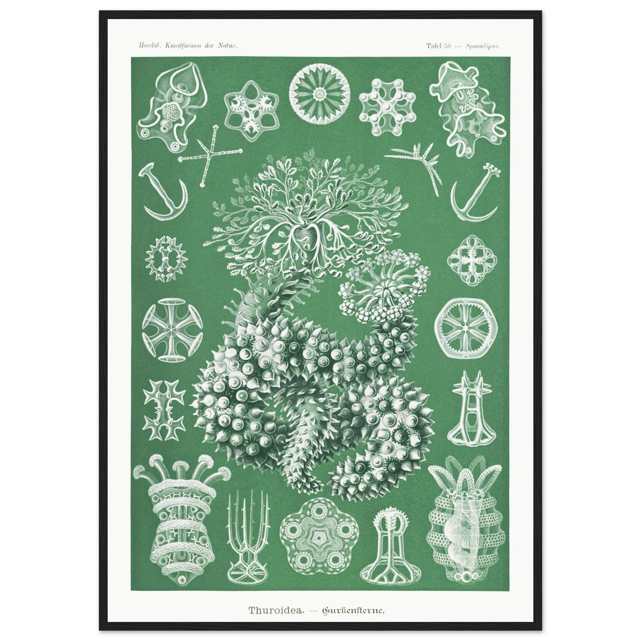 fdf679cd-08cf-4ca1-aa09-830f03bde9b4