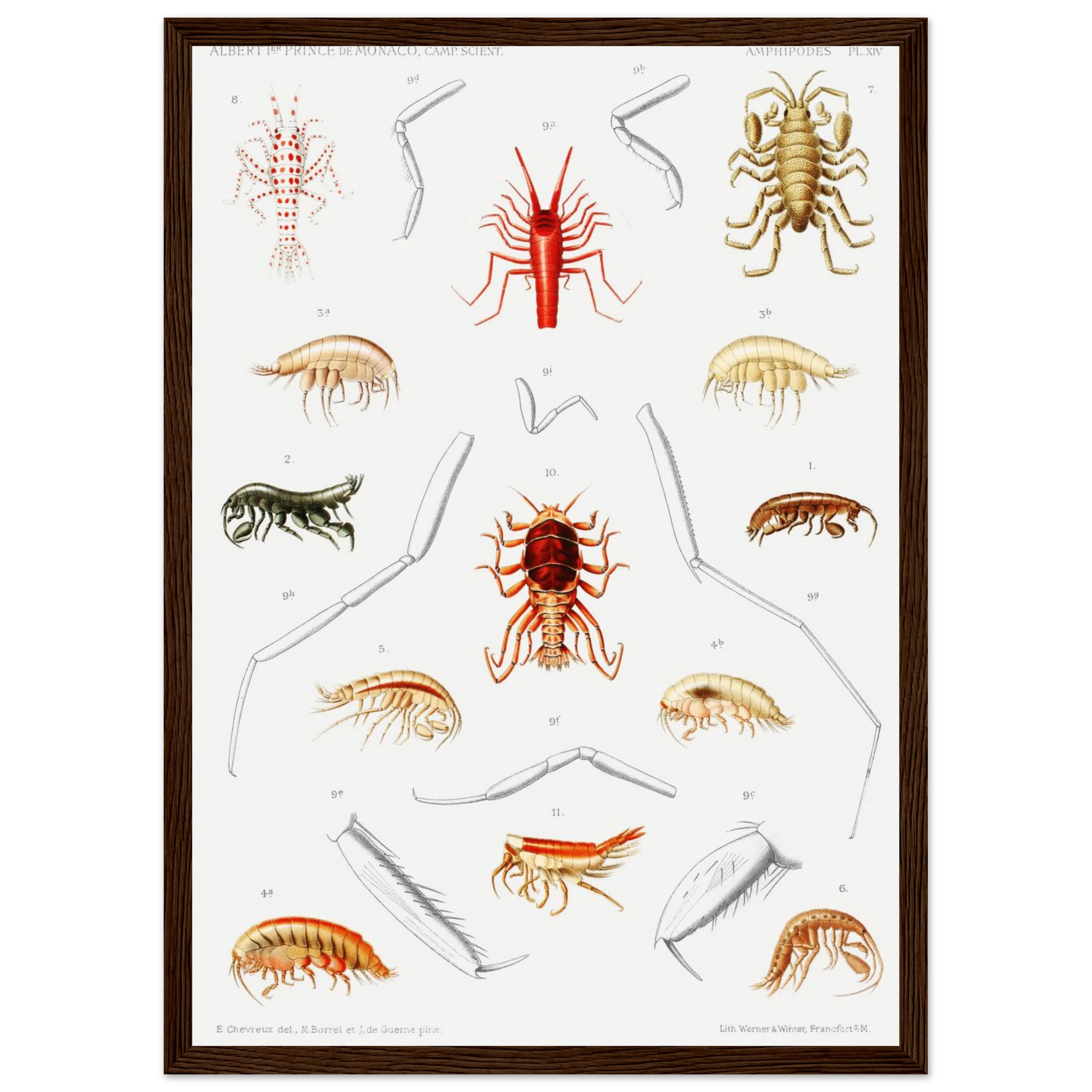 fe24a015-b11f-4051-84fd-d6c05376c372