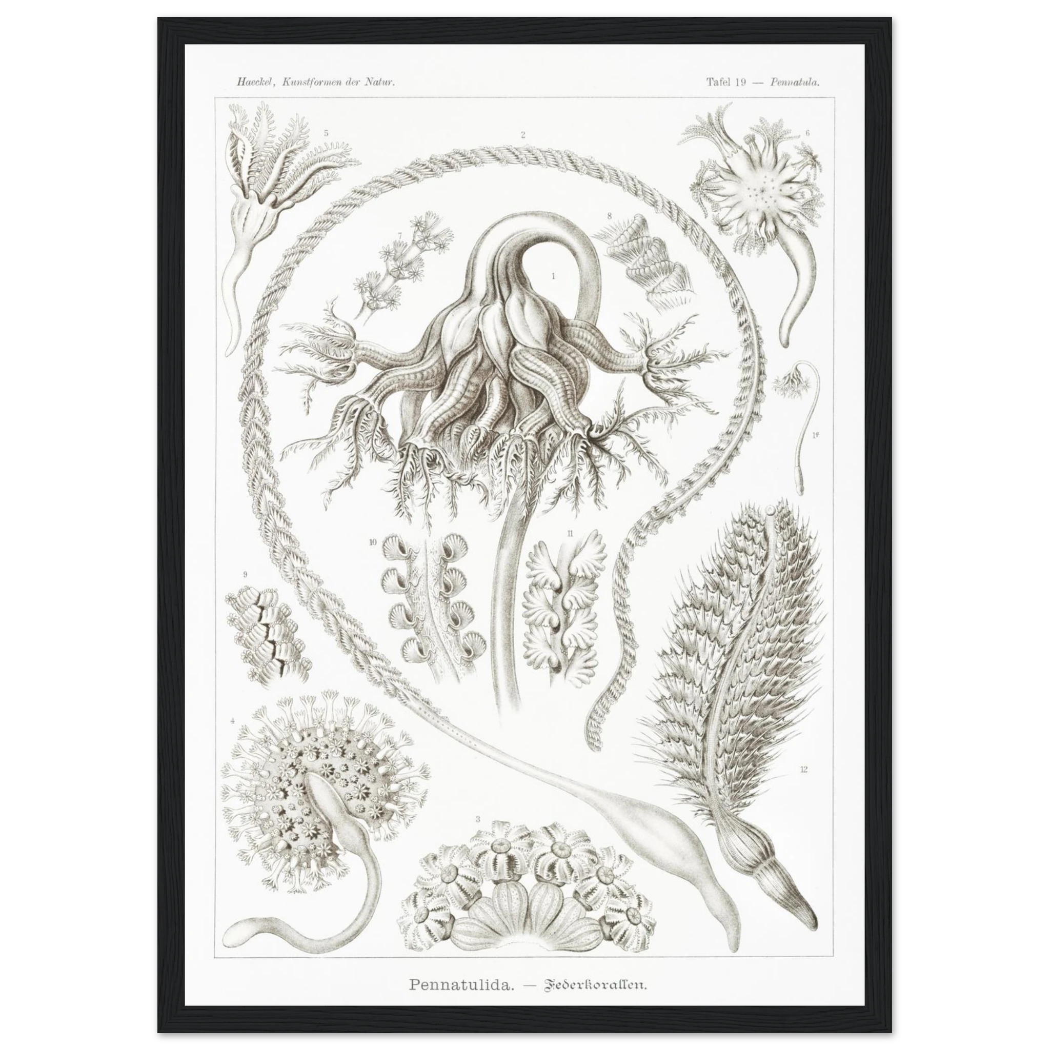 fe280e89-2eb3-4204-be7a-25c19513838a