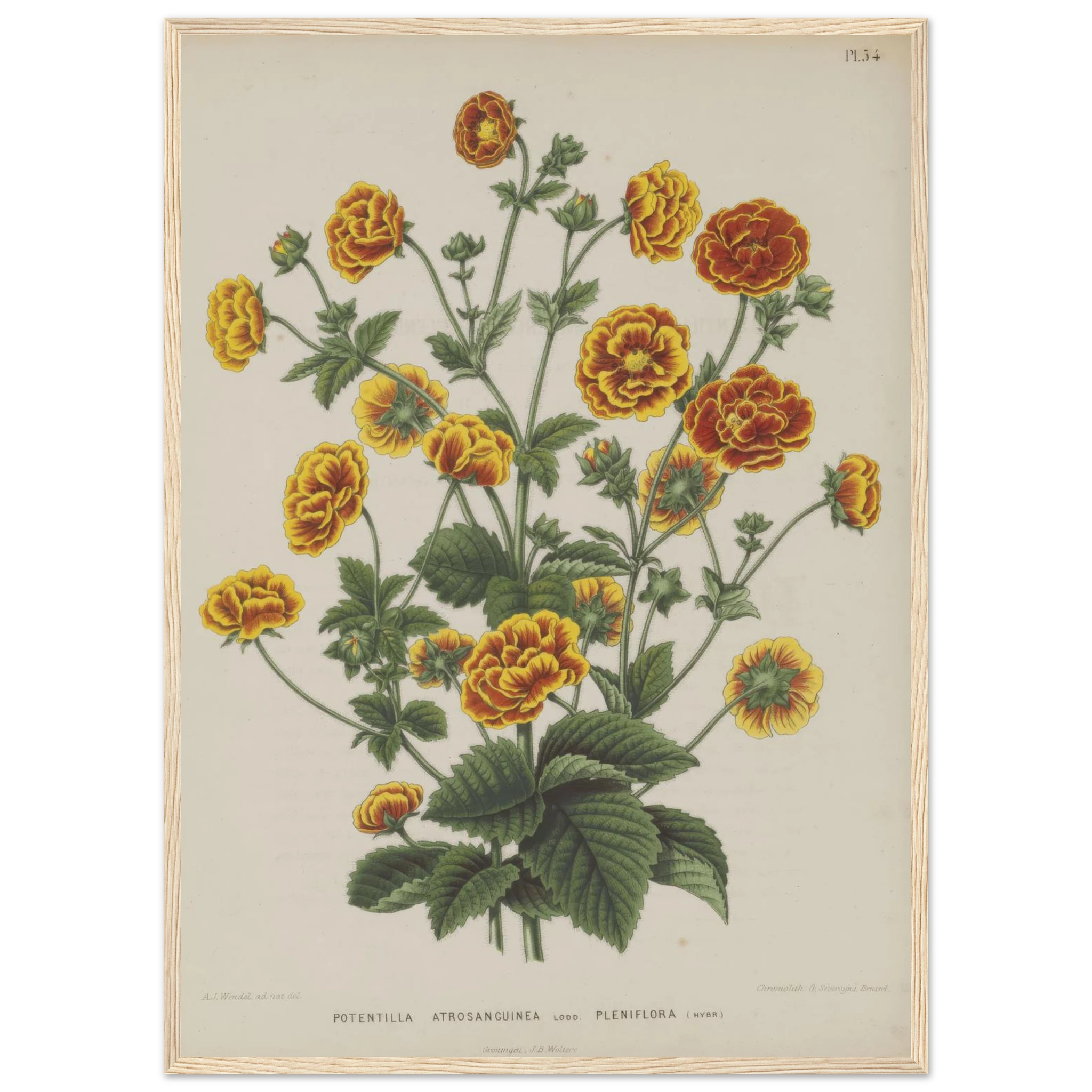 fe37d481-e0c9-423c-82f7-444c46a54036