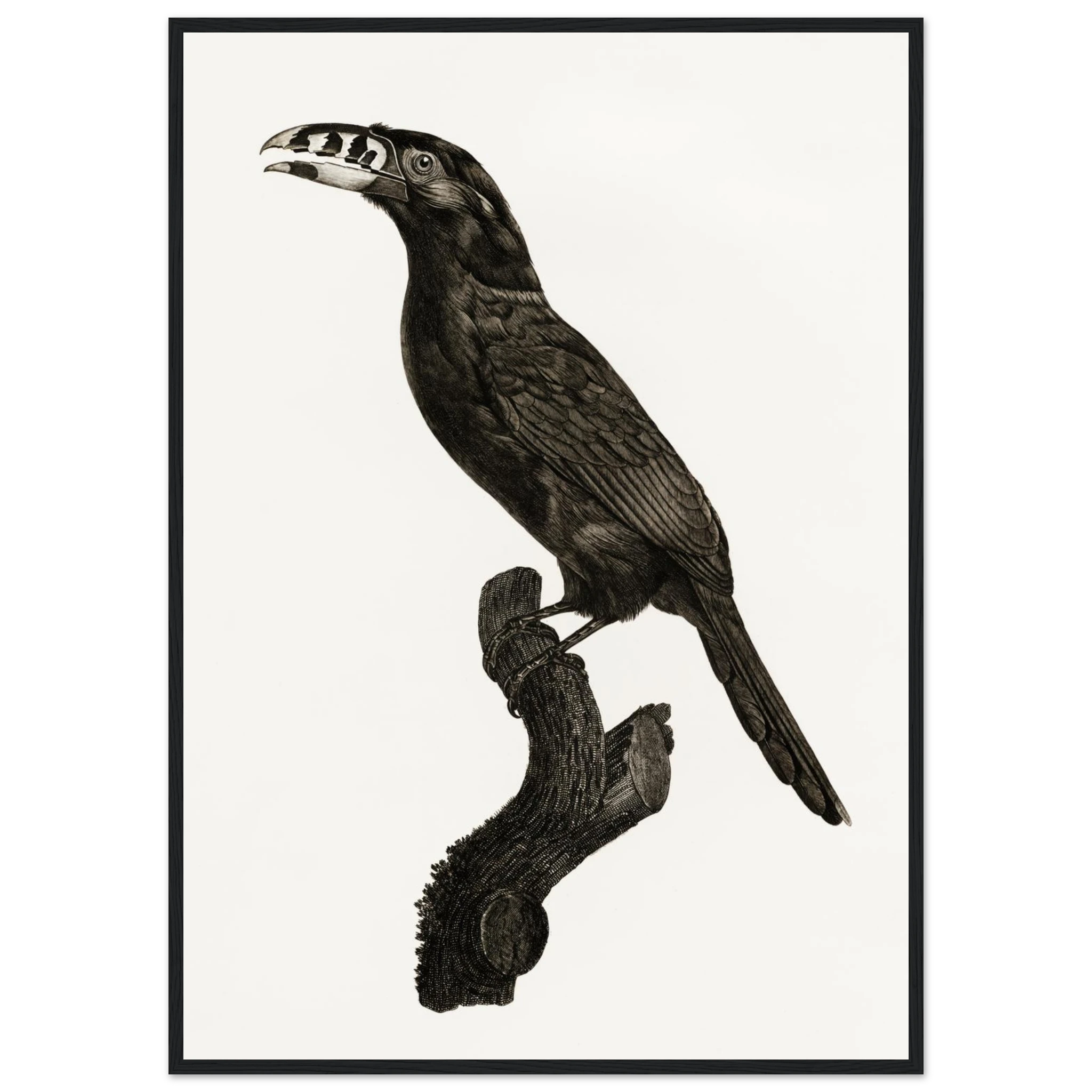 fe9f4eee-0041-4c0f-9aa8-6c61787cb8f5