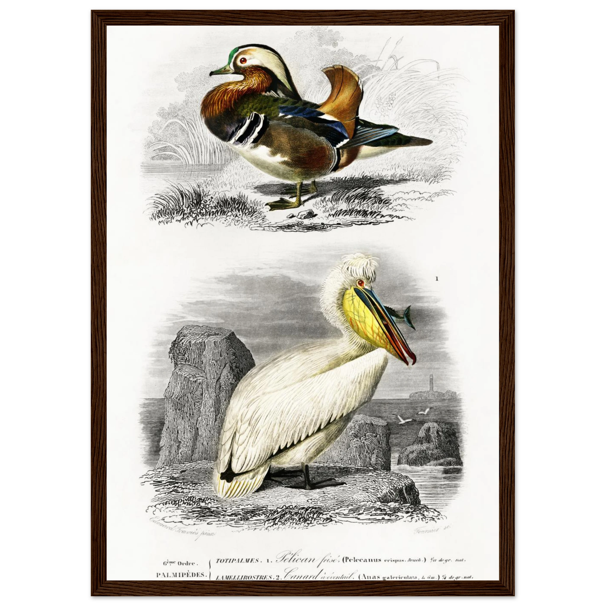 fed203f1-af3f-433c-9d7f-7ceab47e70c7